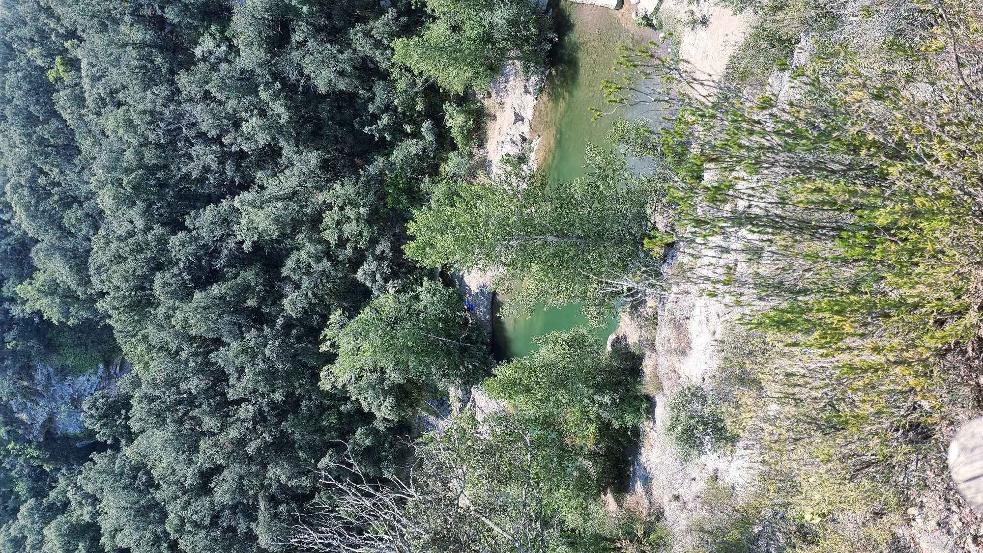 This high-angle aerial shot captures a serene natural scene in Tortellà, Spain, likely during daylight hours under clear skies. The foreground is dominated by a dense thicket of dry, scrubby vegetation with sparse green foliage, suggesting a Mediterranean climate. Beyond this, the terrain slopes down towards a tranquil, emerald-green river. The riverbanks are lined with sandy shores and rocky outcrops, interspersed with patches of vegetation.
The river itself is clear, allowing visibility of the sandy bottom in shallower areas. Several trees with vibrant green leaves grow along the banks, some extending into the water. In the mid-ground, near the left bank of the river, a single person is visible, wearing blue clothing and appearing to be resting or relaxing on the sandy bank. Further along the river, particularly on the right side, the landscape transitions into a dense, verdant forest that covers the hillsides. The forest canopy is thick and appears to be composed of mixed deciduous and evergreen trees, characteristic of the region's natural environment. The overall impression is one of a secluded and peaceful natural refuge within the municipality of Tortellà.