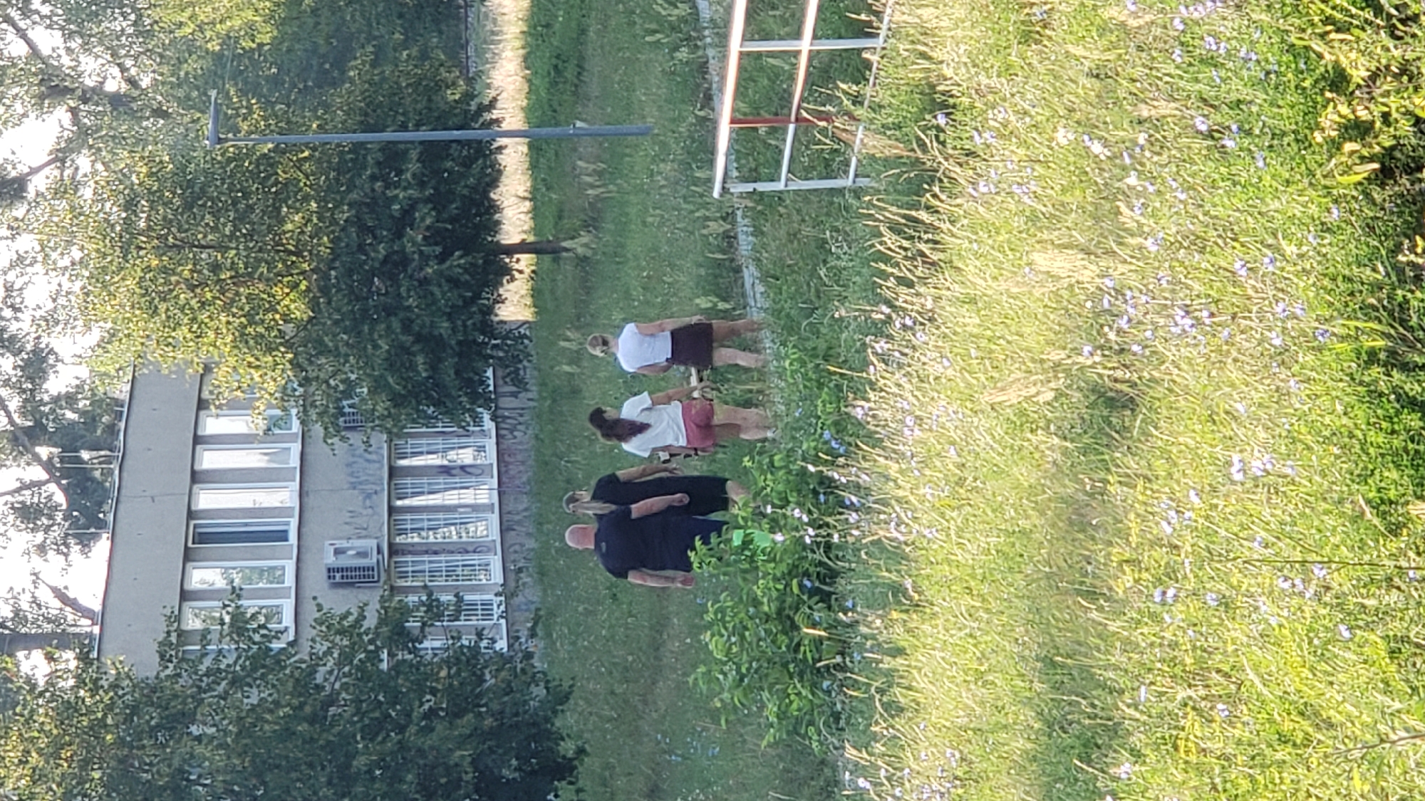Four individuals are walking away from the camera across a grassy embankment. The person on the far left is a bald male wearing a black t-shirt and dark shorts. Next to him is a female wearing a black t-shirt and dark shorts. The third person is a female wearing a white t-shirt and pink shorts. The fourth person is a female wearing a white t-shirt and a dark skirt. They are walking towards a low white and red railing. In the background, a multi-story building with many windows and air conditioning units is visible, surrounded by trees. The area appears to be a park or a green space within a residential or urban environment. Based on the context provided of Prešov, Slovakia, this scene is likely located in the vicinity of a residential area or park within the city.