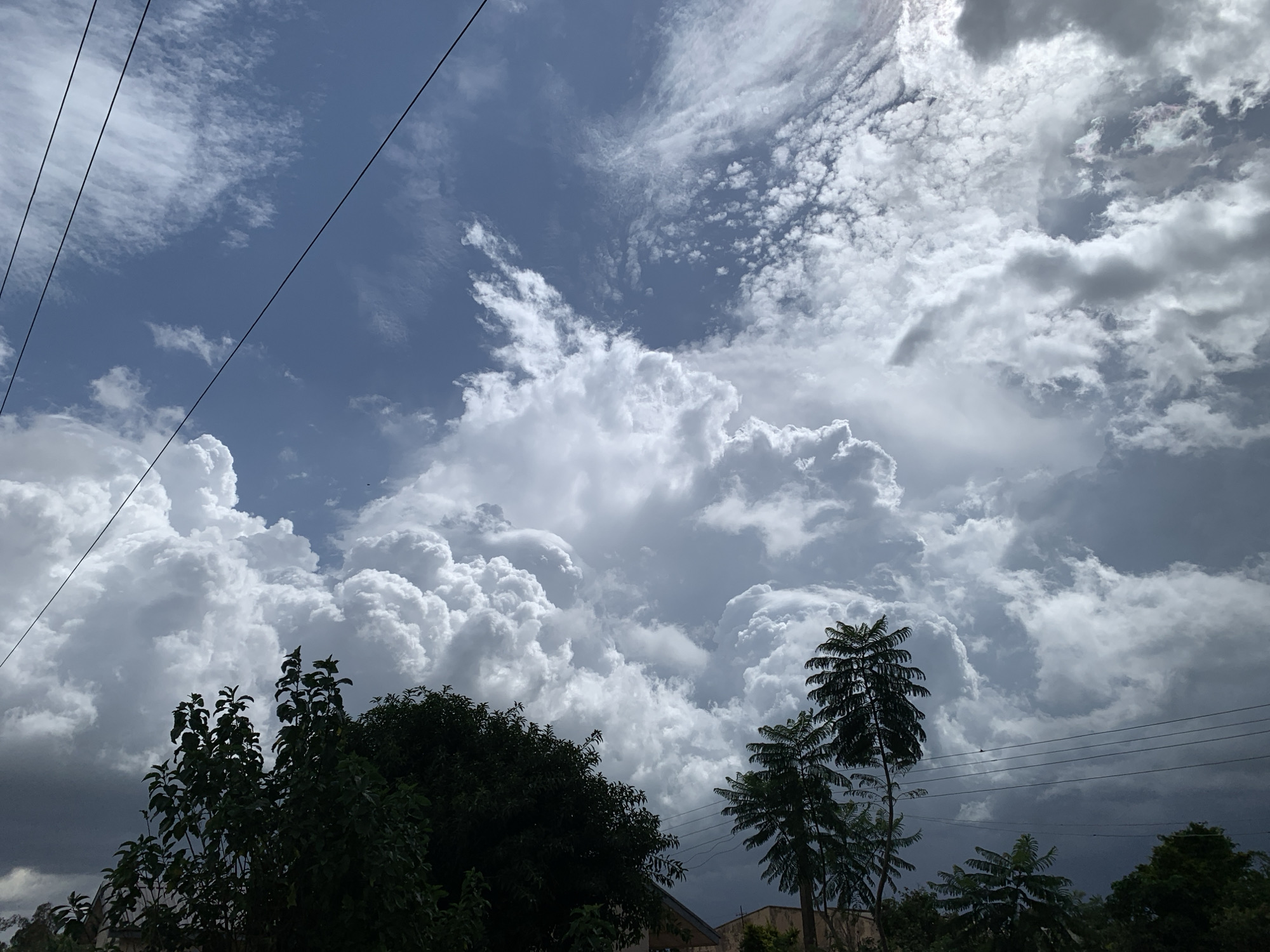 This media file depicts a dramatic sky filled with large, billowing cumulus clouds, characteristic of a potentially stormy afternoon in Kuru Karama, Nigeria. The clouds are a mix of bright white, illuminated by the sun, and darker grey, suggesting varying levels of moisture and density. Scattered across the sky are smaller, wispy clouds, adding texture and depth to the scene.
The lower portion of the image is dominated by the silhouettes of trees and some building structures, indicating an outdoor setting. The trees, with their dark foliage, contrast sharply with the bright sky. Power lines are visible, stretched horizontally across the frame, suggesting the presence of human infrastructure in the area.
The overall mood is one of anticipation, possibly hinting at an approaching rain shower or the aftermath of one. The contrast between light and shadow in the clouds creates a sense of dynamism and power in nature. The time of day appears to be late afternoon, judging by the angle of the sunlight and the dramatic cloud formations. There is no visible text in the image.