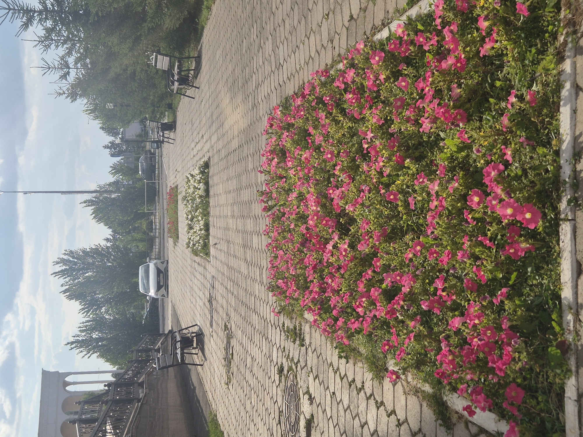 A paved walkway with hexagonal pavers leads through a park-like setting. The walkway is lined with flower beds containing numerous pink petunias. On the left side of the walkway, a stone staircase with ornate metal railings leads up to a building with arched openings. Two dark metal benches are situated along the walkway, one near the staircase and another further down. In the background, a white car is parked on the other side of a low fence. Trees line the perimeter of the area, and the sky is partly cloudy. This scene is located in Kokshetau, Kazakhstan, likely in a public area such as a park or the grounds of a government building. There are no people visible in the image.