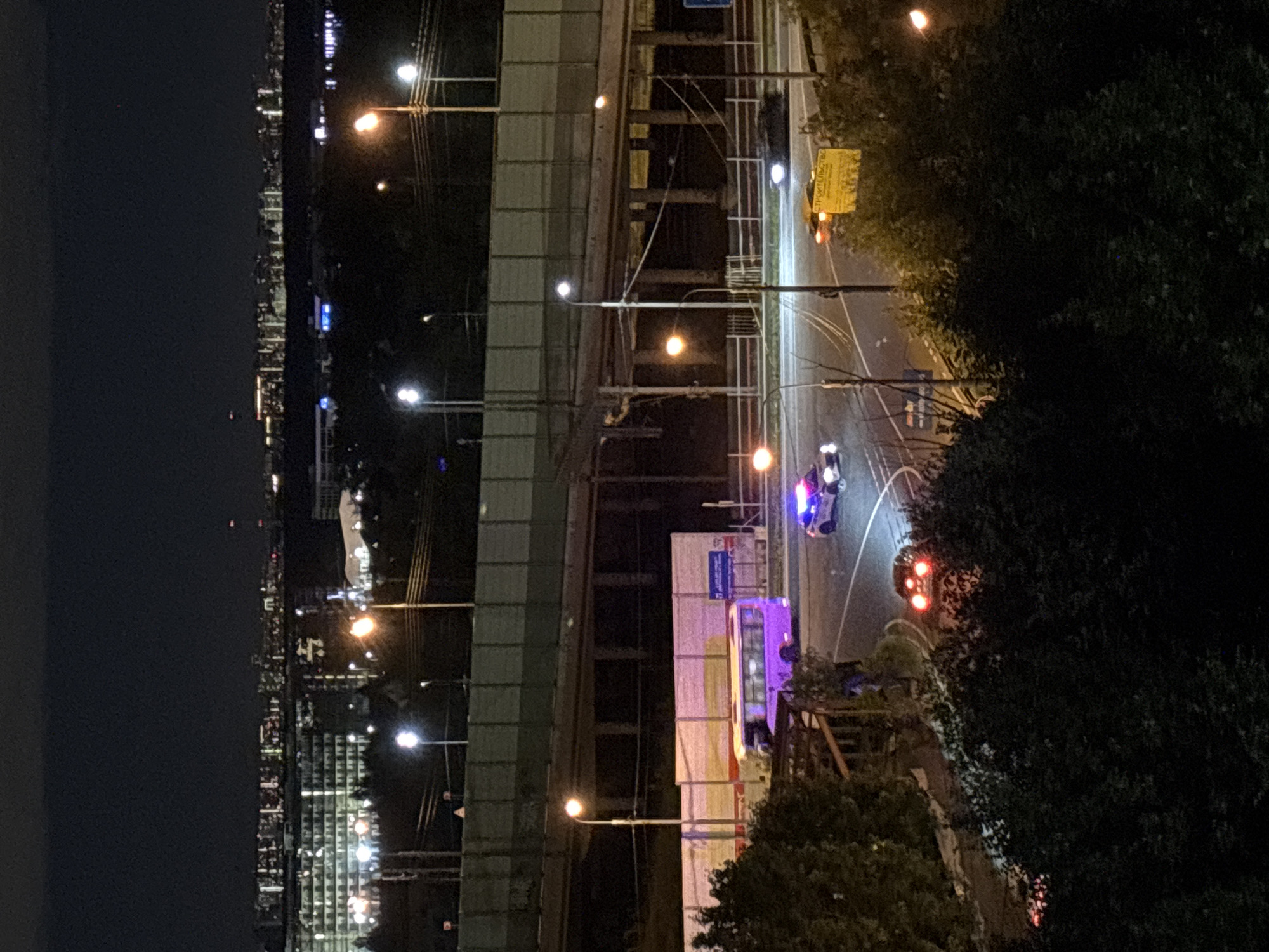 The image depicts a night scene in the city of Odintsovo, Russia. In the foreground, a dark forest of trees obscures a portion of the lower half of the frame. Beyond the trees, a road intersection is visible, illuminated by streetlights and the headlights and taillights of vehicles. A purple bus is parked at the intersection. A white police car with flashing blue and red lights is positioned near the bus, suggesting a police presence or an incident. Further down the road, a yellow sign with Russian text, possibly indicating construction, is illuminated. In the background, a multi-level highway overpass is visible, with lights from distant buildings stretching across the horizon. The sky is dark and cloudy, typical of nighttime in an urban environment.