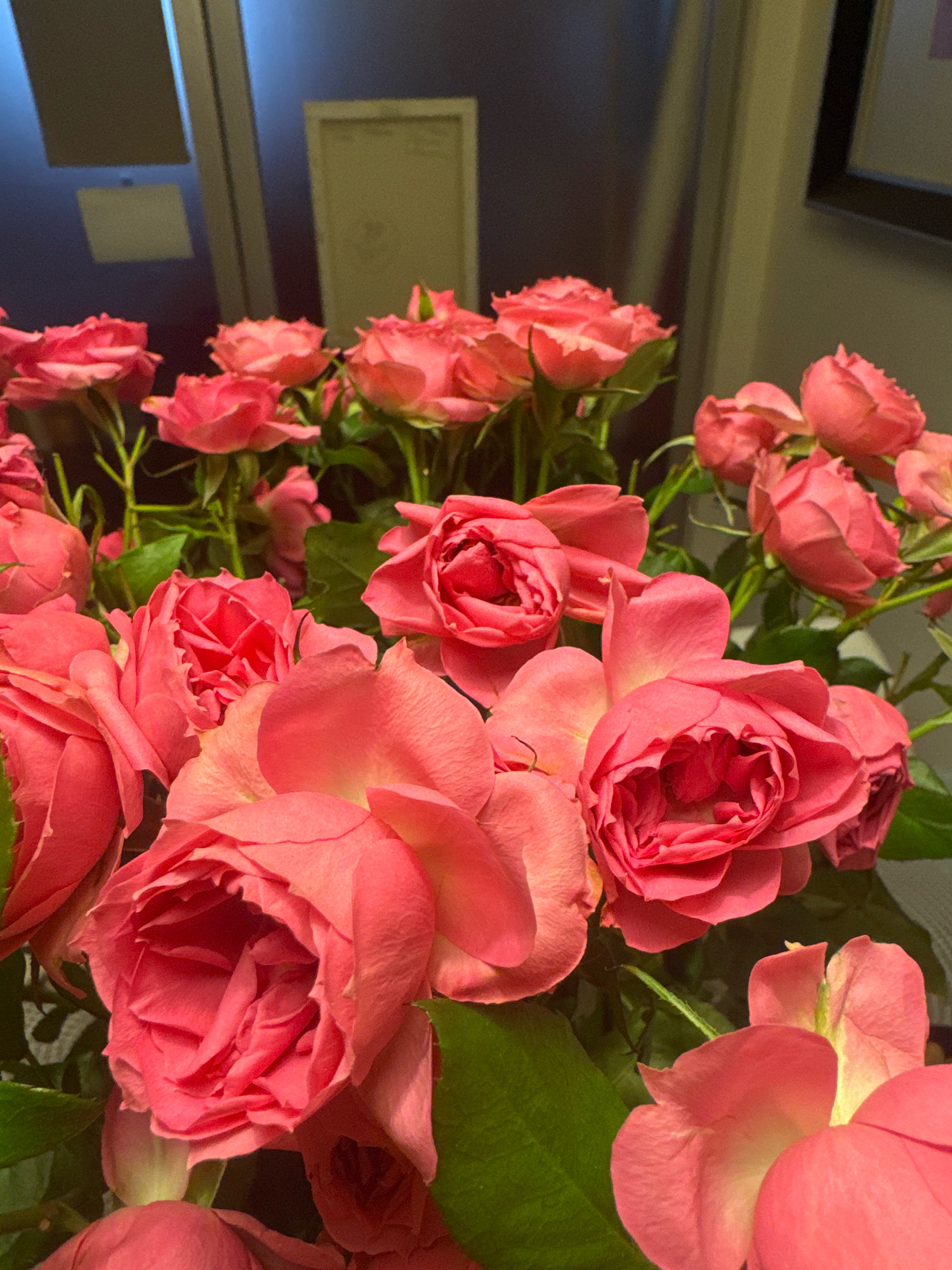 This is a close-up photograph of a bouquet of pink roses. The roses are various shades of pink, from light coral to deep fuchsia, and some are fully bloomed while others are still in bud. The petals appear soft and velvety. Green leaves are interspersed among the flowers, providing a contrast to the pink hues. The background is softly blurred and appears to be an indoor setting with a dark, reflective surface, possibly a window or a wall, and hints of muted lighting. There are no people or animals present in the image, and no identifiable objects that would indicate a specific location within Almaty, Kazakhstan. The focus is solely on the floral arrangement.