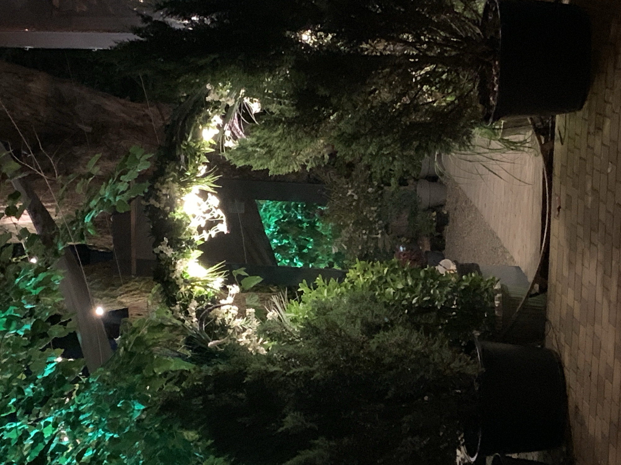 The image depicts an outdoor scene at night, possibly in a garden or patio area. A wooden walkway curves into the background, leading towards a dark opening or entryway. The walkway is flanked by various potted plants, including tall, conical evergreen trees on either side of the entrance. Above the walkway, a lush green canopy of leaves is illuminated by soft, warm lights, creating an inviting atmosphere. Some of the lights are small and stringed, while others appear to be larger bulbs. The ground is paved with brickwork. The overall impression is of a decorated, possibly festive, outdoor space.