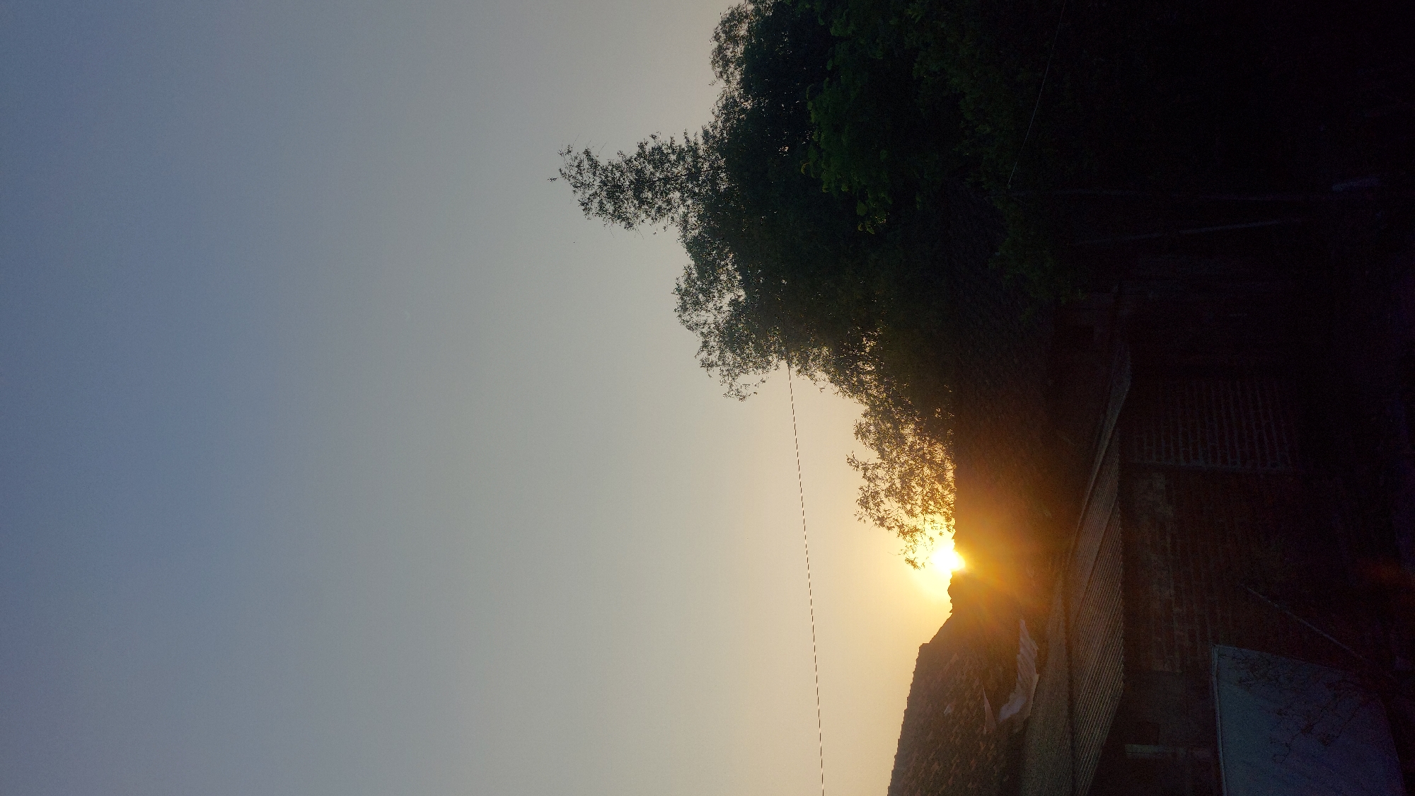 The image captures a sunset scene in Jatirogo, Indonesia, with the sun partially obscured by the branches of trees and the roof of a building. The sky is a gradient of pale blue and yellow, indicating the soft light of dusk. In the foreground, a tiled roof and corrugated metal structures are visible, suggesting a residential or rural setting. Dense foliage, primarily from trees, dominates the right side of the frame, creating a dark silhouette against the illuminated sky. A thin wire stretches horizontally across the mid-section of the image, adding a man-made element to the natural landscape. The overall impression is one of a tranquil evening in a tropical environment.