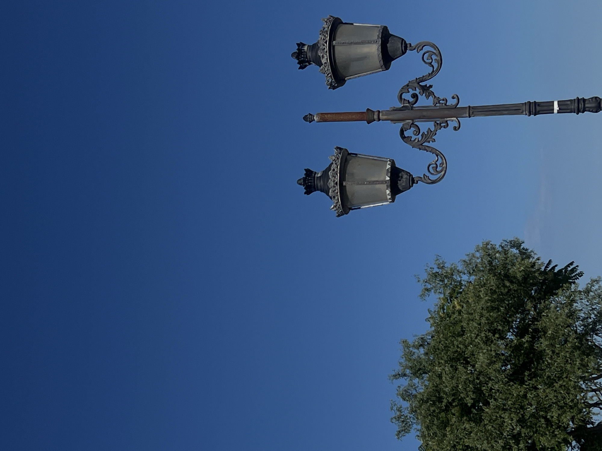 An ornamental street lamp with two lights stands against a clear blue sky. The lamp is made of dark metal with intricate scrollwork. To the left of the lamp, the upper portion of a leafy green tree is visible. The setting appears to be outdoors, likely in a public area. The image does not depict any people or specific actions. The location is identified as Năvodari, Romania.