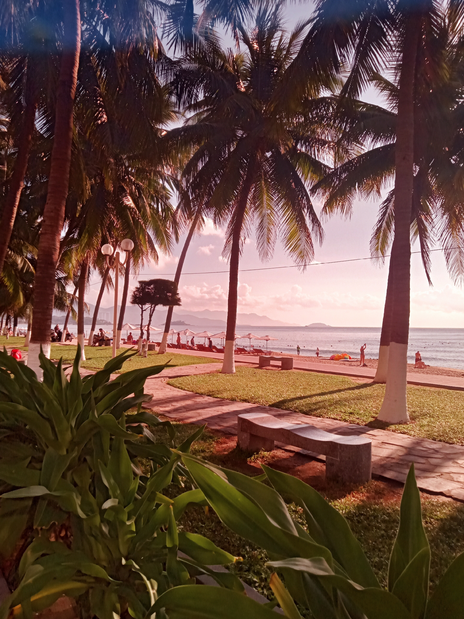 The image depicts a park scene in Nha Trang Ward, Vietnam. The foreground features lush green plants and a stone bench, leading to a paved pathway lined with palm trees. People are visible along the beach and promenade, engaged in various activities like swimming, sunbathing, and walking. The sea stretches to the horizon, with distant islands or mountains visible in the background. The light suggests either a sunrise or sunset, casting a warm glow over the scene. The scene is peaceful, illustrating the integration of natural beauty and urban life in Nha Trang.