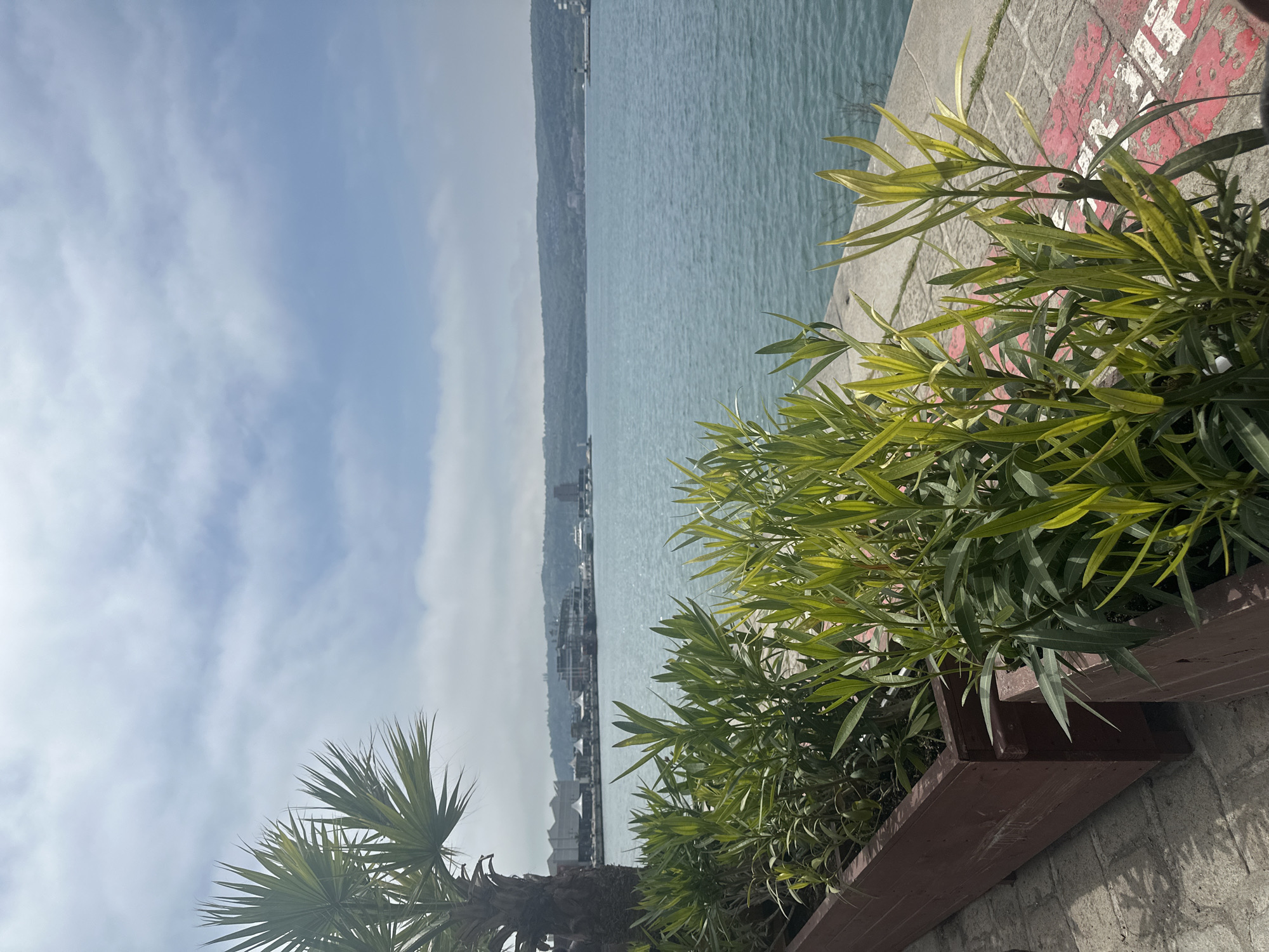 The image presents a waterfront scene in Varna, Bulgaria, featuring a view of the sea and the city skyline in the background. In the foreground, there is a stone retaining wall with vegetation growing out of a wooden planter. The plants include oleander and a palm tree. The sea is a light blue color, and the sky is partly cloudy. A painted area with red and white markings is visible on the stone wall, which appears to be part of a pedestrian walkway. The perspective suggests the photo was taken from a slightly elevated position.