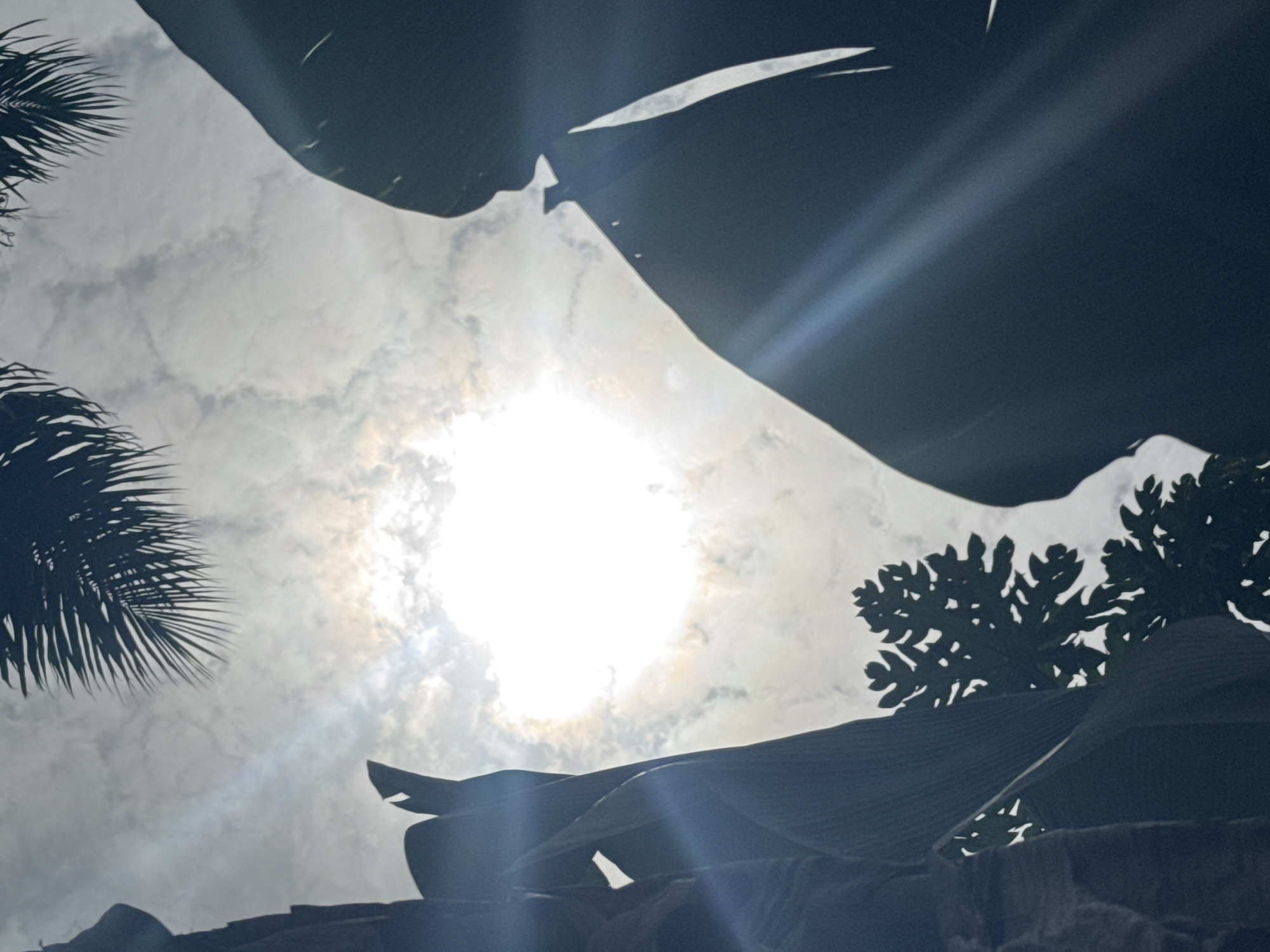 The image, taken from a low angle, depicts a cloudy sky partially obscured by the silhouettes of tropical vegetation. The sun is positioned centrally, its bright light diffusing through the cloud cover. In the lower portion of the image, indistinct, dark shapes possibly represent a structure or landscape feature. The location is inferred to be Aboh, Nigeria based on prior context.