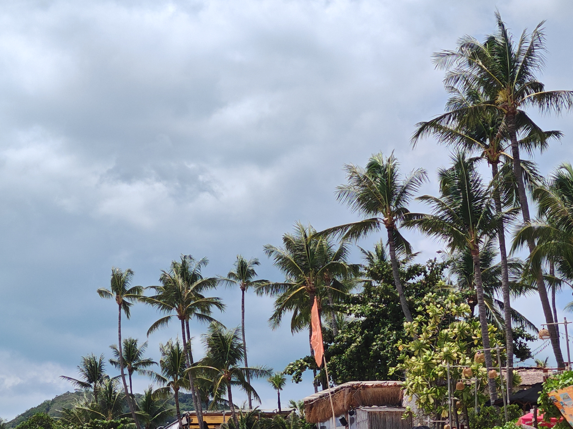 The image depicts a collection of palm trees against a cloudy sky. In the foreground, there are several structures that appear to be huts or open-air buildings with thatched roofs. An orange flag is visible, attached to a pole and partially obscured by foliage. The scene suggests a tropical or coastal environment. While no specific landmarks are identifiable, the presence of palm trees and thatched roofs is consistent with many locations in Baan Bo Phut, Thailand, particularly beachside resorts or villages. There are no people visible in the image.