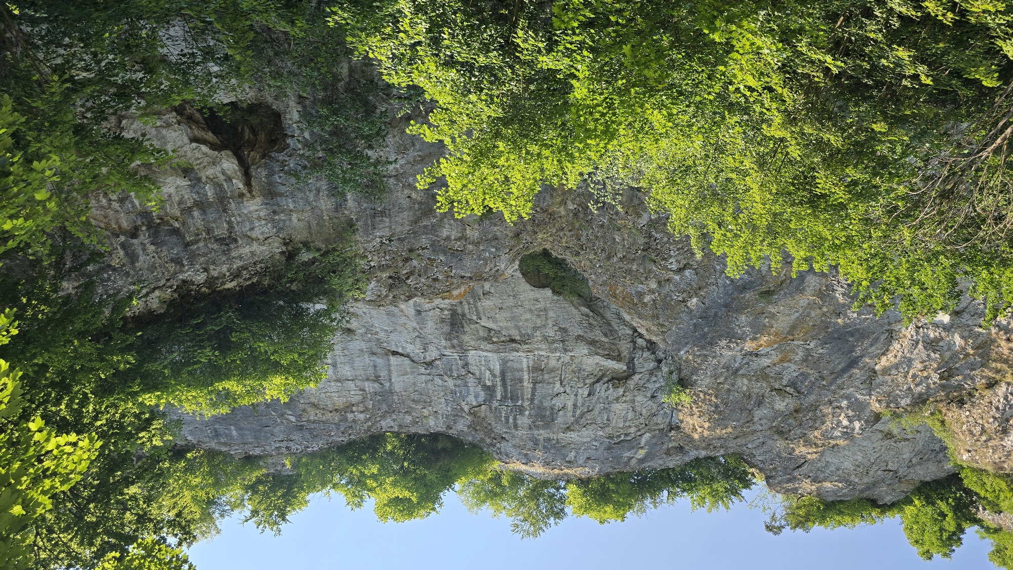This media file depicts a dramatic, upward-angled view of a sheer rock face overgrown with lush green foliage. The rock is textured and layered, showing evidence of erosion and time, with several openings and crevices visible. The dominant colors are the varied grays and browns of the rock and the vibrant greens of the trees and bushes that cling to its surface and hang over its edge. A clear, bright blue sky is visible at the bottom of the image, suggesting a sunny day. The angle of the shot gives a sense of immensity and height, with the viewer looking up towards the top of the cliff and the canopy of leaves. There are no people or man-made objects visible, emphasizing the natural and wild character of the scene. The lighting suggests it is daytime, likely late morning or afternoon, due to the brightness and the way the sun highlights the leaves. The overall mood is one of natural beauty and a sense of undisturbed wilderness. The image appears to be taken in a mountainous or canyon-like area.