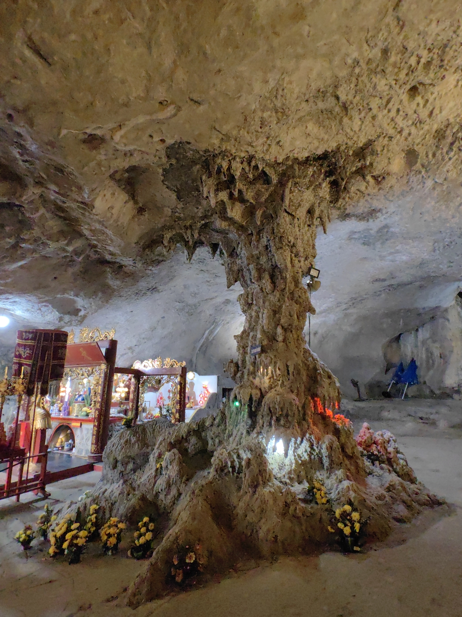 The image captures the interior of a cave, most likely one serving a religious purpose, located in the city of Lạng Sơn, Vietnam. The cave ceiling is low and textured, typical of limestone formations. A large stalactite or pillar rises from the cave floor, reaching towards the ceiling, covered in formations and decorated with small lights, both green and red. Yellow flowers are planted around the base of the pillar. To the left of the pillar, there are what appear to be religious shrines or altars, decorated with red and gold ornamentation. Two blue umbrellas are visible in the background. The floor of the cave is relatively flat and appears to be paved. The lighting is a mixture of natural light and artificial lighting used to illuminate the pillar and shrines.