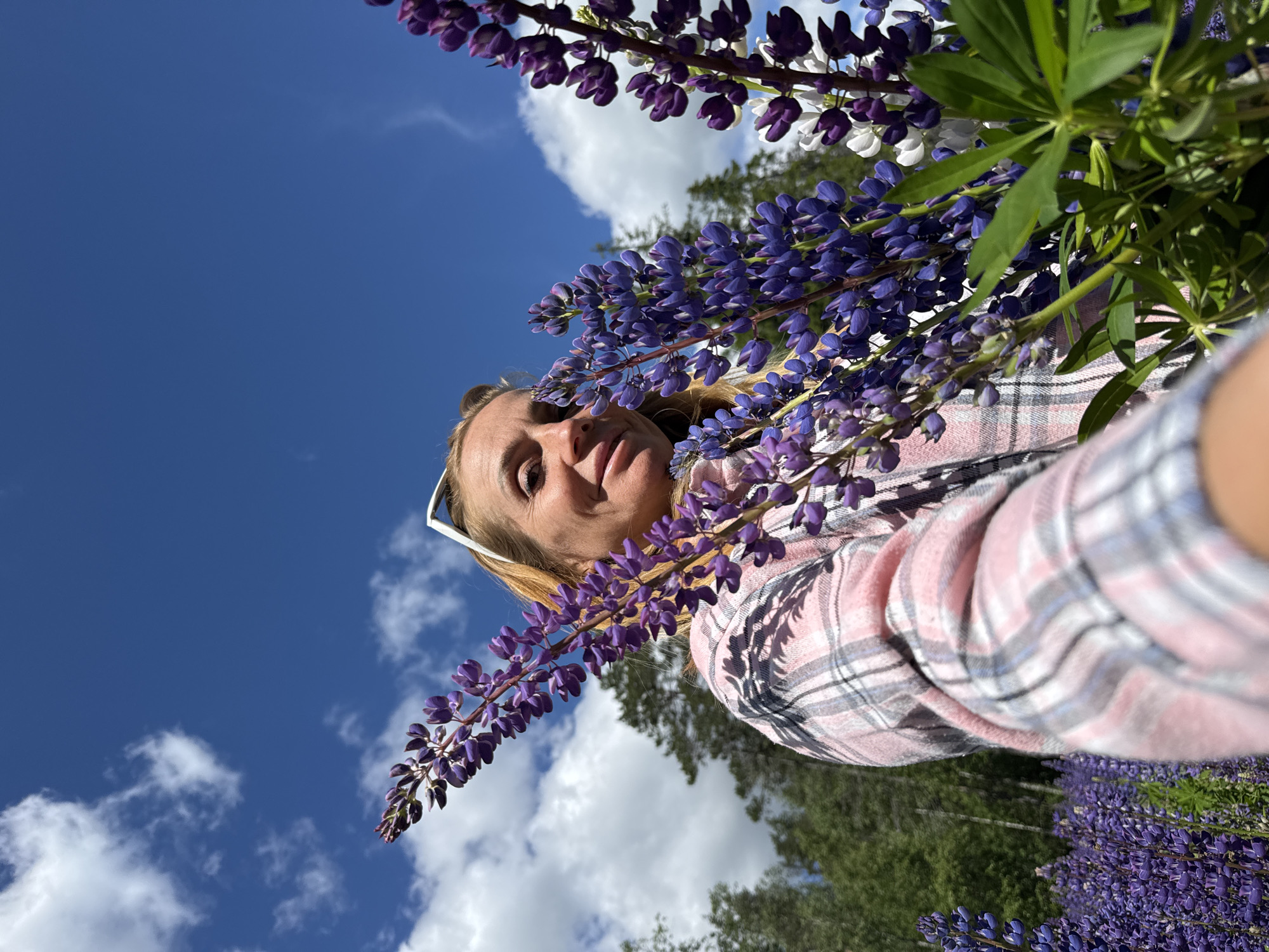 An outdoor, waist-up, low-angle shot shows a woman holding a bunch of purple and white lupine flowers in a field of lupines. The woman, with blonde hair and a pink and white plaid shirt, is looking at the camera and smiling. The sky, which is blue with white clouds, is visible in the background. The location is a field of lupines, likely in a rural area in Russia.