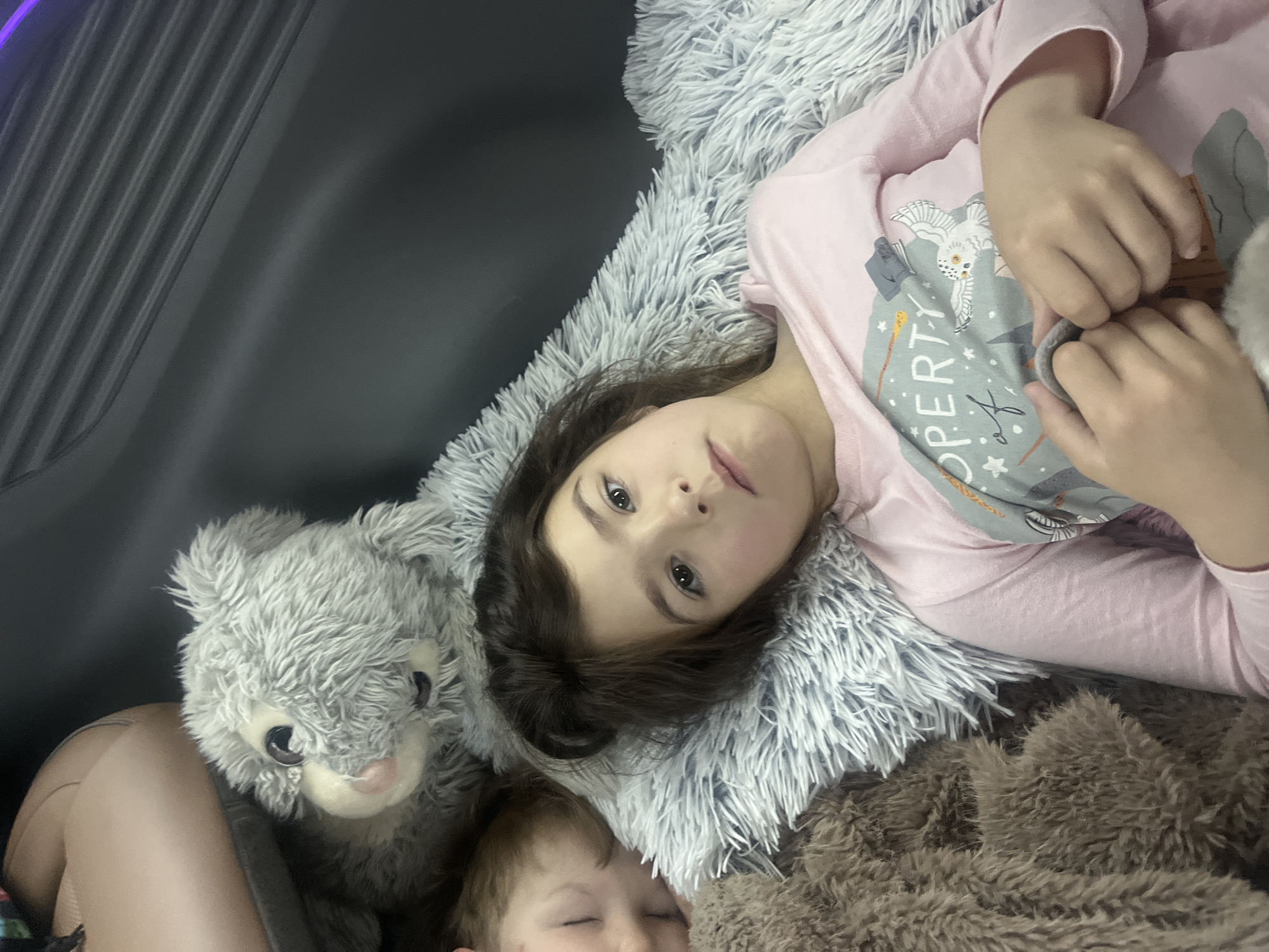 In Dybshche, Ukraine, two young children are lying down on a plush, fluffy gray surface, likely a blanket or large pillow, situated in what appears to be the back of a vehicle. To the left, a younger child with light brown hair is asleep, their face turned away from the camera. They are partially obscured by a large, brown, shaggy stuffed animal that lies to their left. To the right, an older child with dark brown hair is awake and looking directly at the camera with a neutral expression. This child is wearing a light pink long-sleeved shirt with a graphic design featuring an owl and text. A gray plush toy is positioned behind and above the sleeping child. The background is dark and appears to be the interior of a vehicle, with some textured dark material visible. The overall scene suggests a moment of rest or travel.