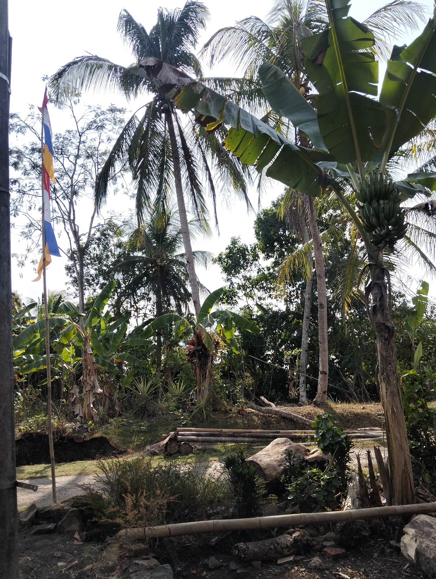 The image depicts an outdoor scene in what appears to be a rural area of Karangnunggal, Indonesia. A flag with three horizontal stripes of red, white, and blue, and a yellow stripe at the bottom, flies from a pole on the left side of the frame. The flag is partially obscured by a grey, metallic pole on the far left. The environment is lush with vegetation, dominated by several tall palm trees and numerous banana trees with large, broad leaves. Some of the banana trees have bunches of green bananas visible. In the background, there are dense trees and foliage under a bright, overcast sky. On the ground in the mid-ground and foreground, there are various elements including cut logs, bamboo poles, rocks, and dry vegetation. A cleared patch of dark earth is visible, suggesting recent digging or construction. The overall impression is of a tropical or subtropical environment with evidence of human activity.