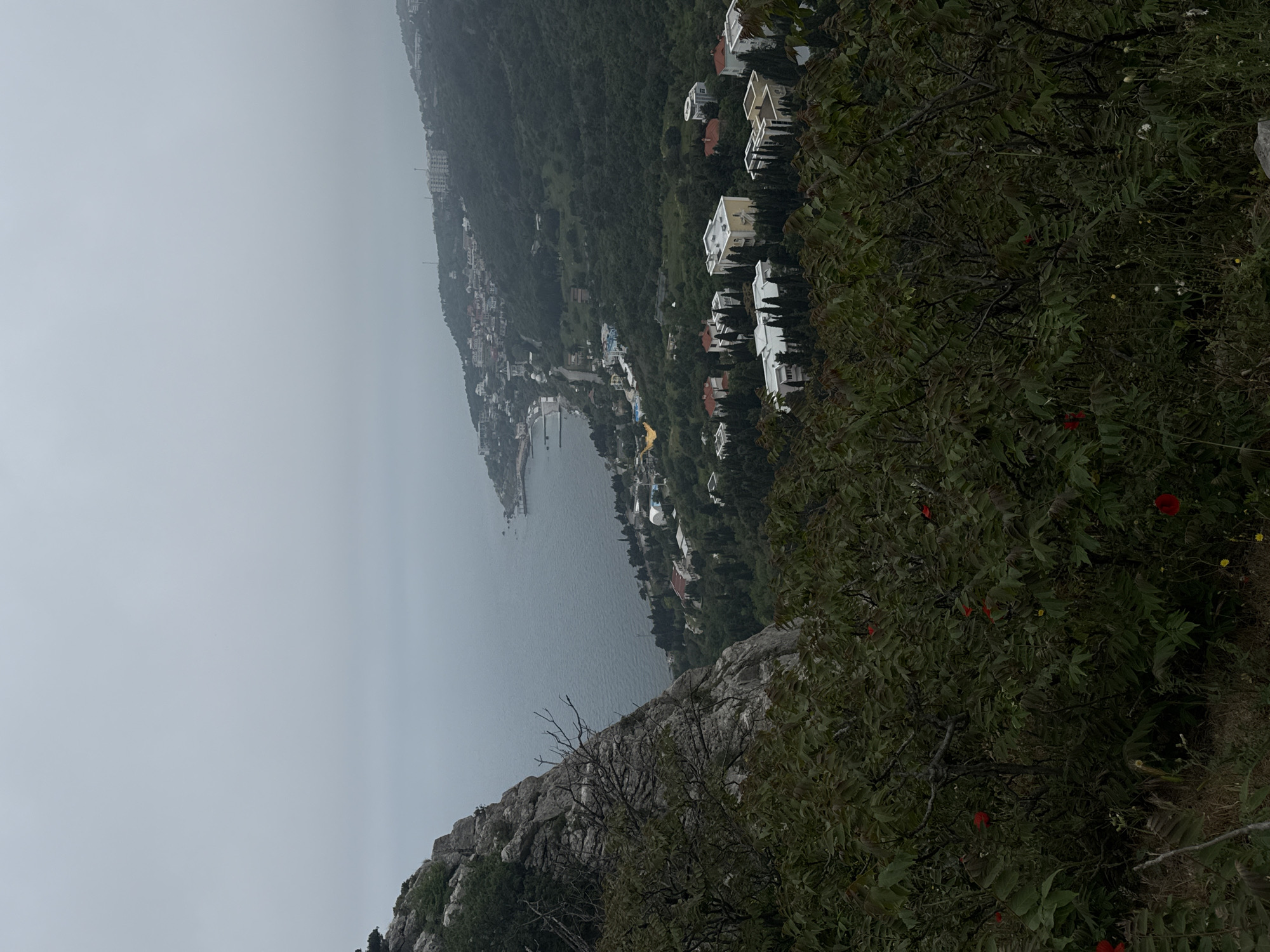 The image shows an elevated view of a coastal town under overcast skies. The foreground features a rocky cliff with vegetation. The town is situated along the coastline, with buildings interspersed among trees. A pier extends into the water. The sea is a dark gray color.