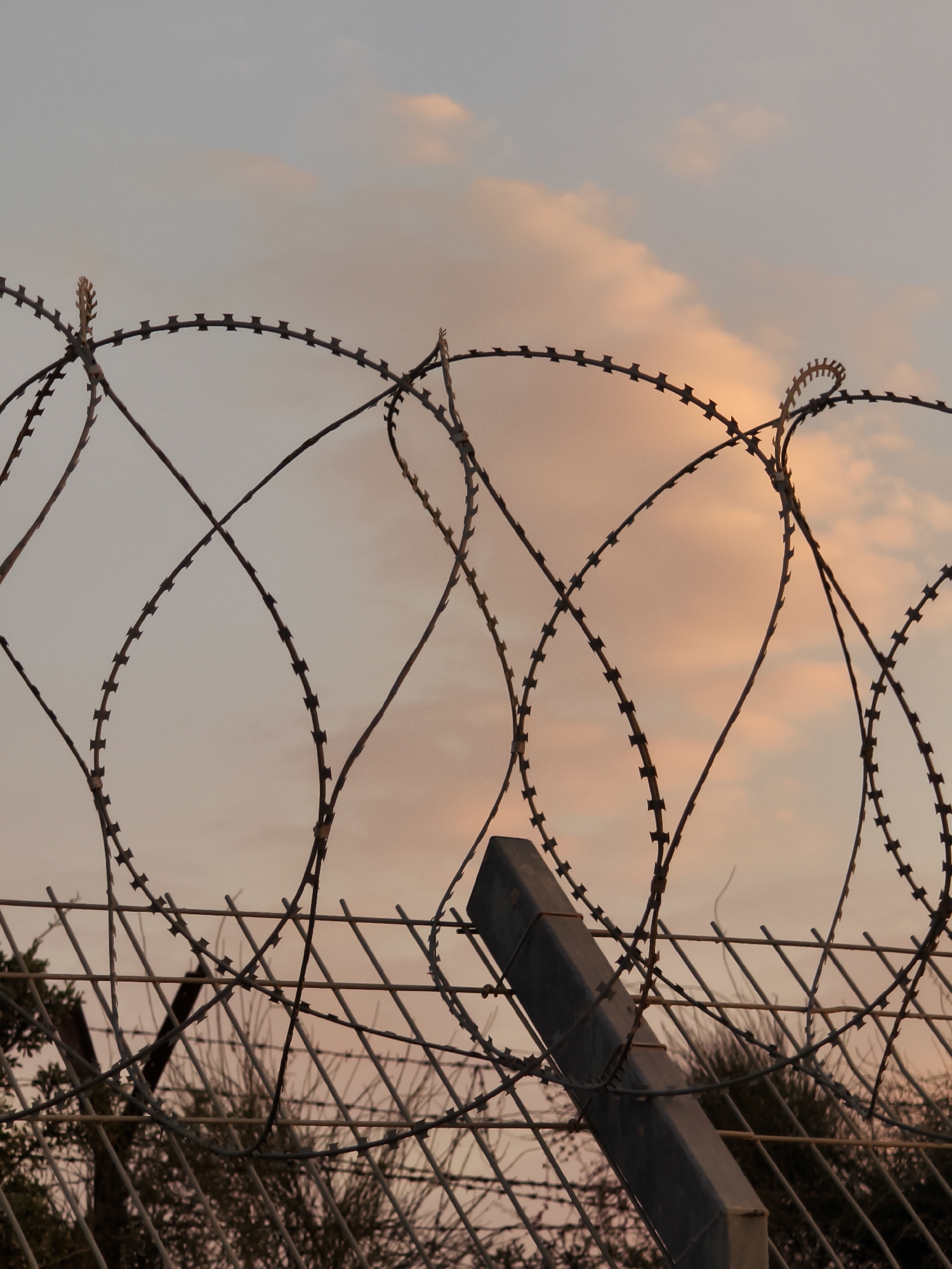 The image shows a close-up of a barbed wire fence against a soft, pastel-colored sky with scattered clouds. The barbed wire is coiled into large, circular patterns, creating a textured and somewhat menacing foreground. In the lower portion of the image, a metal fence post is visible, along with the mesh of a lower fence and some vegetation. The overall impression is one of security and possibly isolation, with the natural beauty of the sky contrasting with the man-made barrier. The location is the Lachish Regional Council, Israel, indicating a possible border or security zone. There are no people or animals visible in the image.