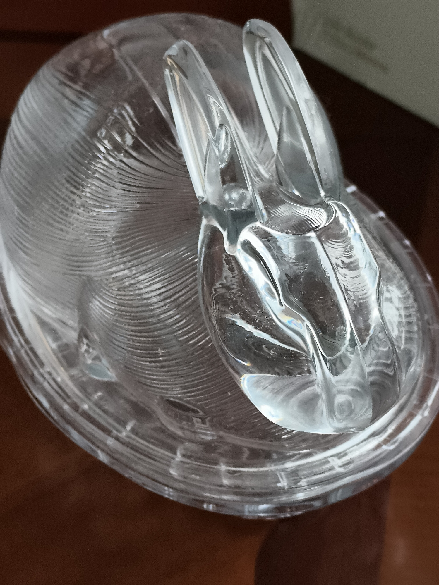 A close-up, overhead shot shows a clear glass object shaped like a rabbit with its ears upright, resting on a surface. The rabbit's head and ears are prominently featured in the foreground, with the body extending into the background. The glass has a textured, ribbed design on the body of the rabbit. The background is blurred and appears to be a wooden surface. The image does not depict any specific location in Klaipėda, Lithuania.
