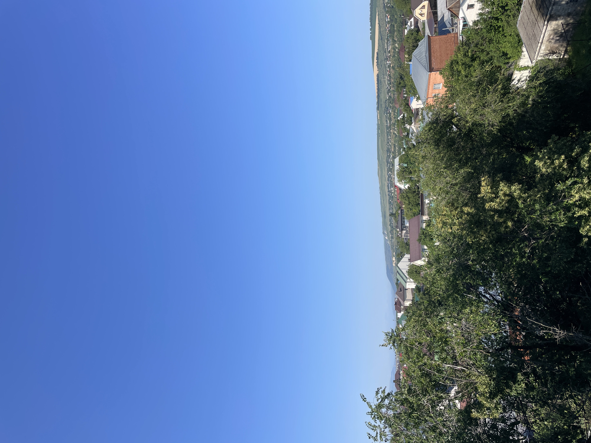 The image captures a panoramic view of a residential area on a clear, sunny day. In the foreground, dense green trees with visible branches and leaves dominate the lower portion of the frame, obscuring some of the buildings. Beyond the trees, a collection of houses with various roof colors, including red, brown, and green, are visible. The architecture suggests a mix of modern and traditional styles. Further in the background, rolling hills are covered with green vegetation and cultivated fields, creating a rural or semi-rural landscape. The sky is a vibrant, cloudless blue, indicating fair weather. The scene appears to be a typical suburban or semi-urban setting. Based on the landscape and architectural style, the location is likely the city of Cherkessk, Russia, known for its proximity to the Caucasus Mountains and its green, hilly surroundings. No people or specific actions are depicted in the image.