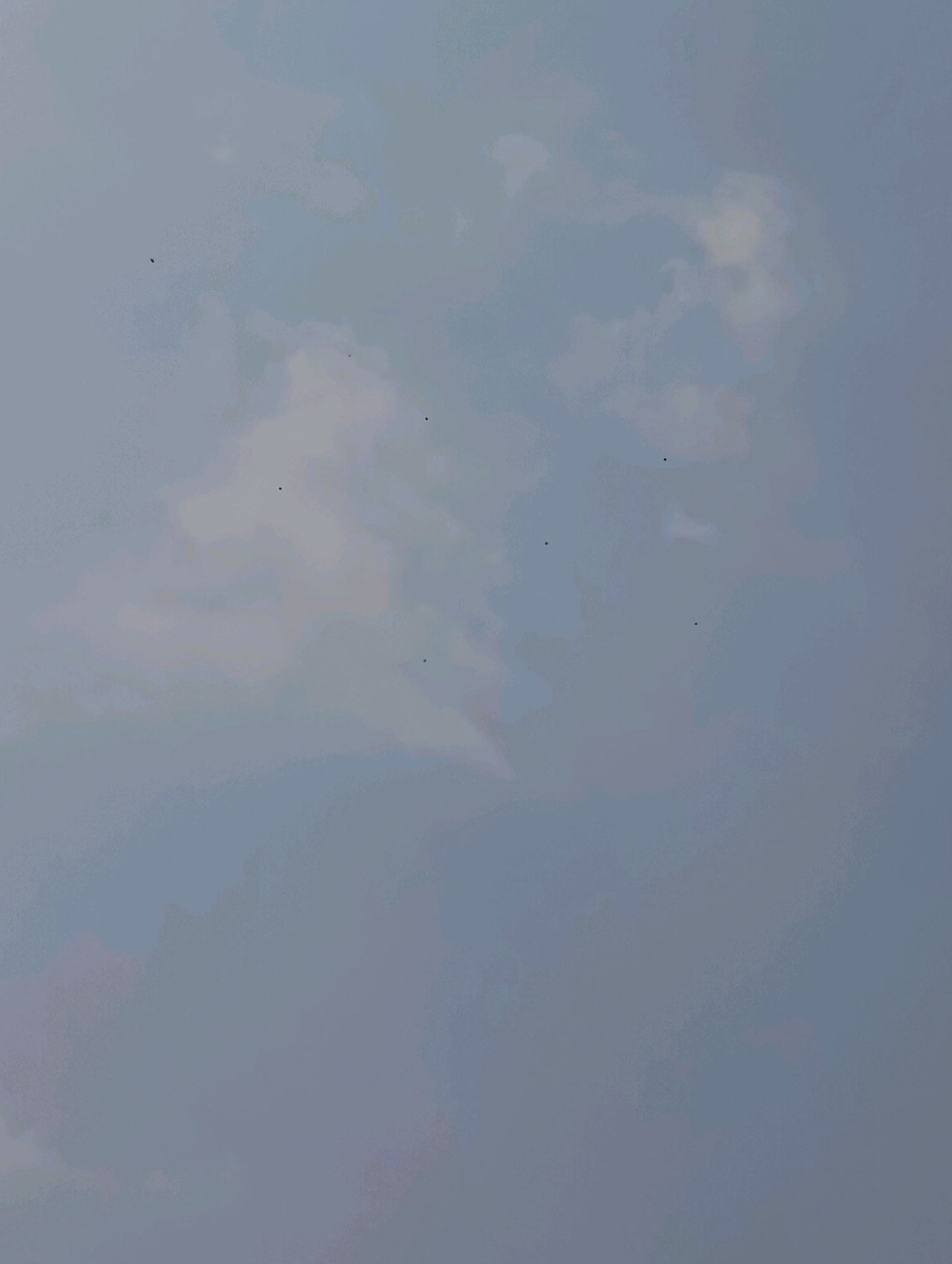 The image shows a pale blue sky with scattered clouds. There are several small, dark, indistinct objects in the sky, which could be birds or insects. The overall scene is one of an overcast or hazy sky, common in many locations. The image does not contain any specific geographical markers or information that would allow for precise localization to Babelan, Indonesia.