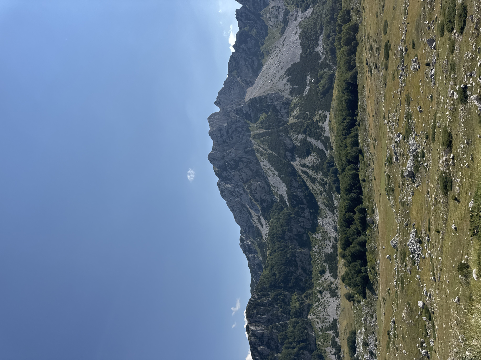 The image shows a vast mountainous landscape under a clear blue sky with a few wispy clouds. In the foreground, a grassy field is dotted with numerous grey rocks of varying sizes. A line of dense green trees forms a band across the middle ground, separating the rocky field from the steep, rocky slopes of the mountains that dominate the background. The mountains themselves are rugged and appear to be covered in scree in some areas, with patches of green vegetation on their lower slopes. The overall scene is natural and undeveloped, suggesting a remote, possibly mountainous region. The location is identified as Pašina voda, Montenegro. There are no people or discernible man-made structures visible in the image.