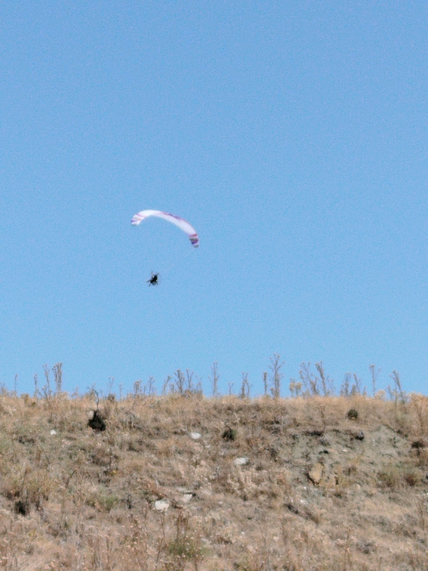 A paraglider is suspended in the clear blue sky, attached to a white and purple parachute. The paraglider appears as a dark silhouette against the bright sky. Below, a dry, grassy hillside slopes upwards, dotted with sparse vegetation. The landscape suggests a rural or natural setting, possibly on the outskirts of Sithonia Municipal Unit, Greece, a region known for its scenic hills and coastline. The image captures a moment of free flight, emphasizing the vastness of the sky and the natural beauty of the terrain.