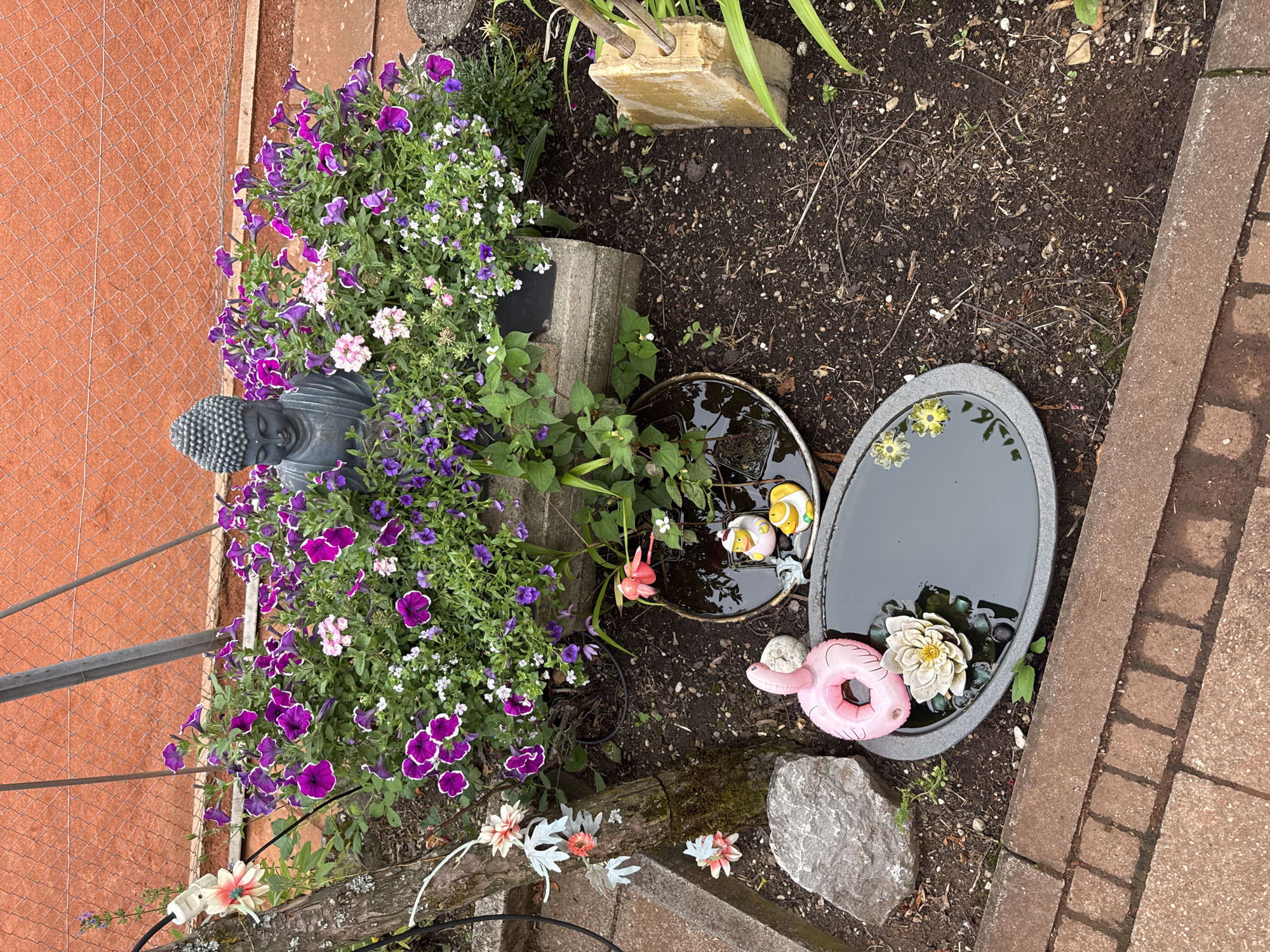 This image depicts a small garden area with several decorative objects and plants. The garden is located in Neubiberg, Germany. In the background, a reddish-brown tennis court fence is visible, suggesting the garden might be adjacent to a sports facility.
The main subjects in the foreground are two shallow, dark-colored bowls filled with water, resembling small birdbaths or decorative water features. The bowl on the left contains a white artificial lotus flower with a yellow center, and a pink inflatable flamingo. The bowl on the right holds two small ceramic ducks, one yellow with a white head and the other white with a yellow beak. Scattered on the surface of this water are several small yellow artificial flowers.
Behind the water features, a dense cluster of purple and pink petunia-like flowers is in bloom, surrounding a dark gray statue of Buddha. The Buddha statue is seated with its eyes closed.
To the left of the Buddha and flowers, a rough wooden post or trunk is visible, to which a white electrical plug with a light-colored flower decoration is attached. Several other artificial flowers with pink and white petals are also attached to this post. A large gray rock is situated on the ground to the left of the lower water feature.
The ground around the plants and decorative items is dark soil, with some scattered dry leaves and small pebbles. A brick pathway borders the lower edge of the image. To the right of the Buddha, a light-colored stone slab stands upright, with two wooden sticks protruding from it. Green lily-like plants are growing to the right of this stone. The overall scene suggests a carefully arranged garden with a mix of natural and artificial elements.