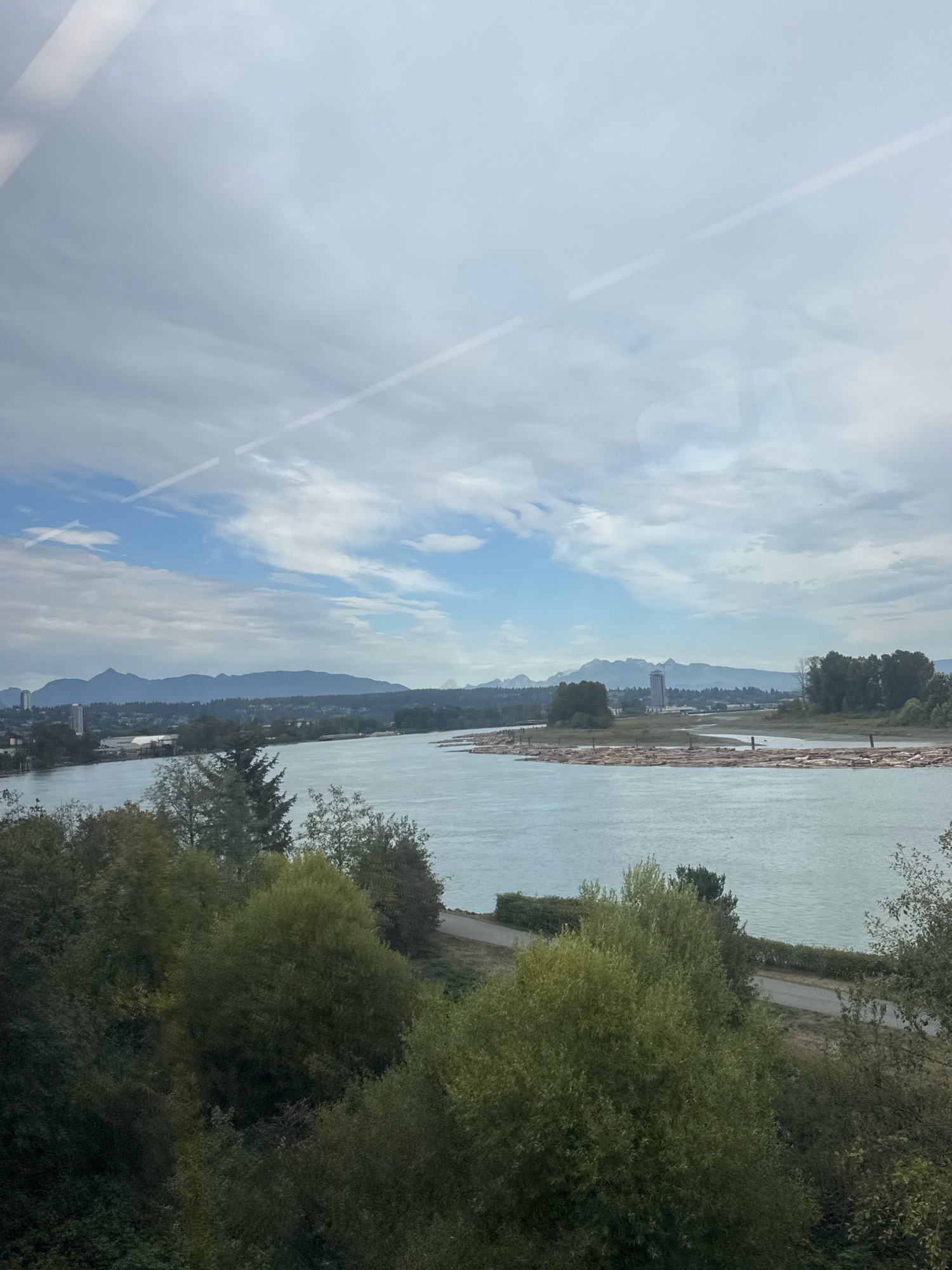 The image captures a panoramic view of the Fraser River in New Westminster, Canada. The river flows gently, with a large raft of logs visible in the middle distance. On the far bank of the river, a dense line of trees borders the water, beyond which lie mountains that form a backdrop to the scene. In the foreground, lush green trees and foliage dominate the lower portion of the image, obscuring much of the land. A paved pathway is partially visible winding through the trees along the riverbank. The sky is overcast with scattered clouds, and two faint white streaks, possibly contrails from an aircraft, are present. The overall impression is one of a serene, natural landscape within an urban setting.