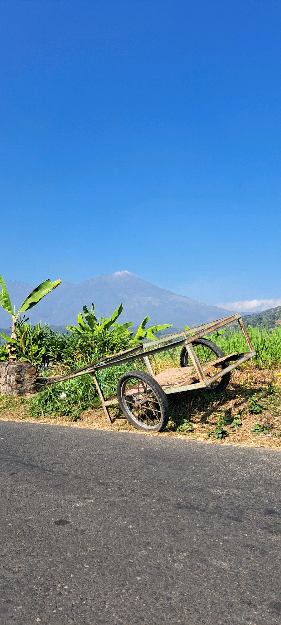 In Sukoreno, Indonesia, a weathered, two-wheeled cart with a rusty metal frame and wooden planks rests on a grassy embankment next to a paved road. The cart is positioned at an angle, its single visible wheel slightly sunk into the ground. In the background, lush green rice paddies stretch towards a majestic mountain range under a clear blue sky. Banana plants with large, vibrant leaves are visible to the left of the cart, adding a touch of tropical greenery to the scene. The overall impression is one of rural tranquility and natural beauty.