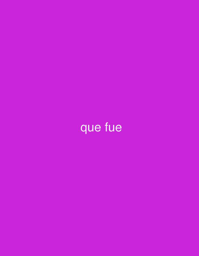 The image displays a solid, vibrant magenta background. Centered horizontally and vertically on this background are the words "que fue" written in white, lowercase, sans-serif text. There are no other subjects, objects, people, or discernible activities present in the image. No specific location cues, time of day, or weather conditions are visible.