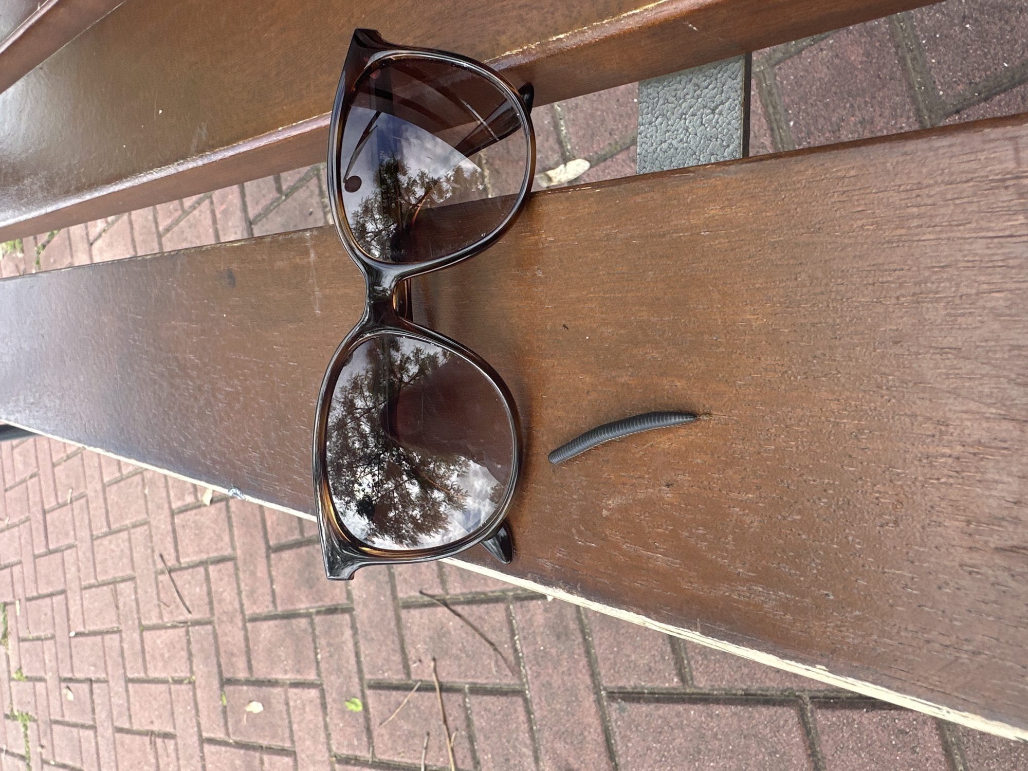 The image depicts a close-up of a brown wooden park bench, partially resting on a brick walkway. A pair of brown-framed sunglasses lies on the bench, reflecting a tree canopy in their lenses. Next to the sunglasses, a millipede crawls on the bench's surface. The location appears to be outdoors but the exact city Esplugues de Llobregat, Spain cannot be confirmed from the image alone. No people are visible.