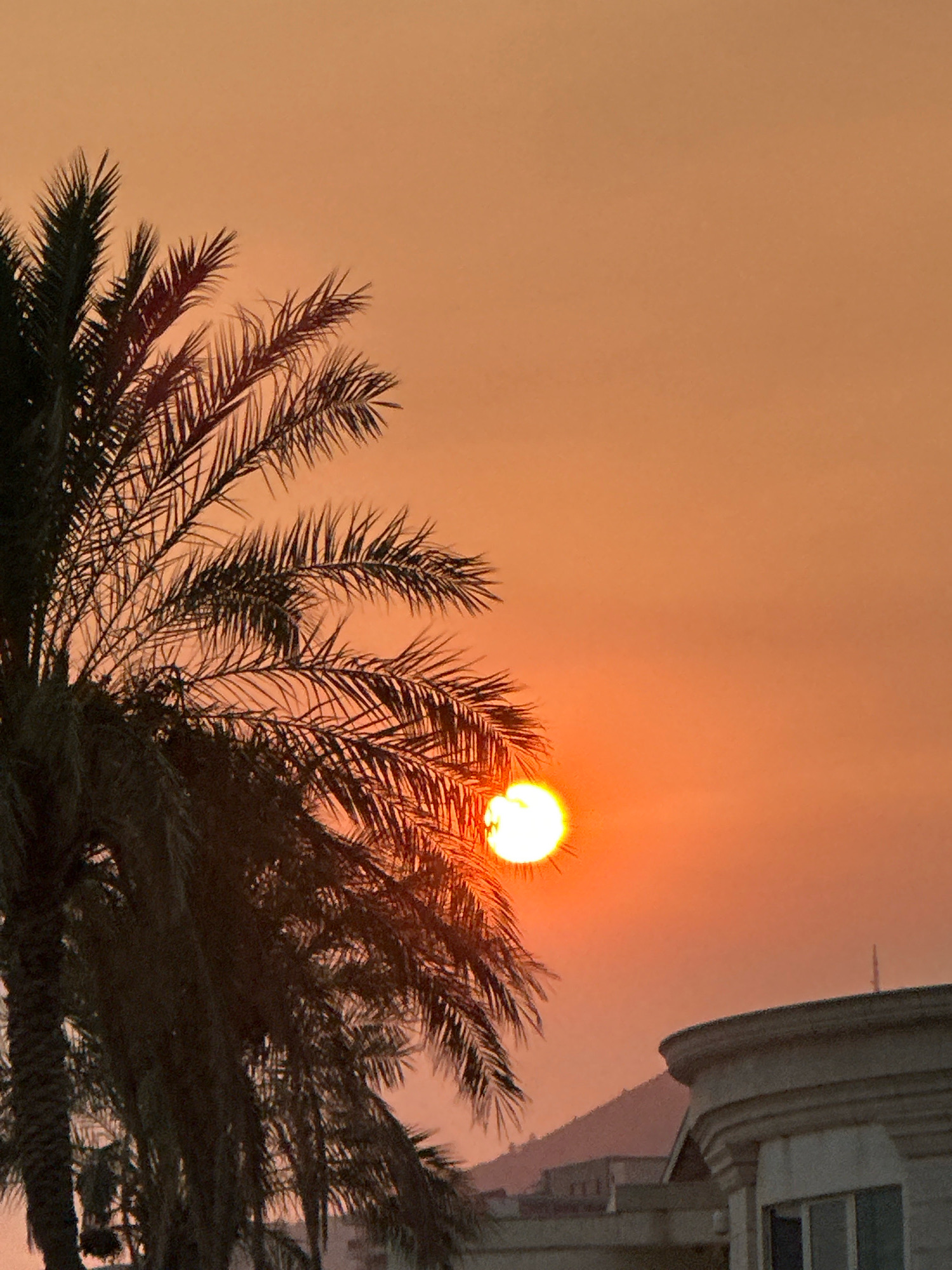 The image captures a sunset over Boreti, Montenegro. The sky is a vibrant gradient of orange and pink. In the foreground, a silhouette of a palm tree with its fronds is visible on the left side, partially obscuring the setting sun. The sun itself is a bright, luminous orb, appearing as a white-yellow disc against the warm sky. In the lower right quadrant, a portion of a building is visible, featuring architectural details like curved cornices and windows. In the background, a mountain range rises behind the building, with its slopes softly illuminated by the sunset. The overall scene depicts a serene evening atmosphere.