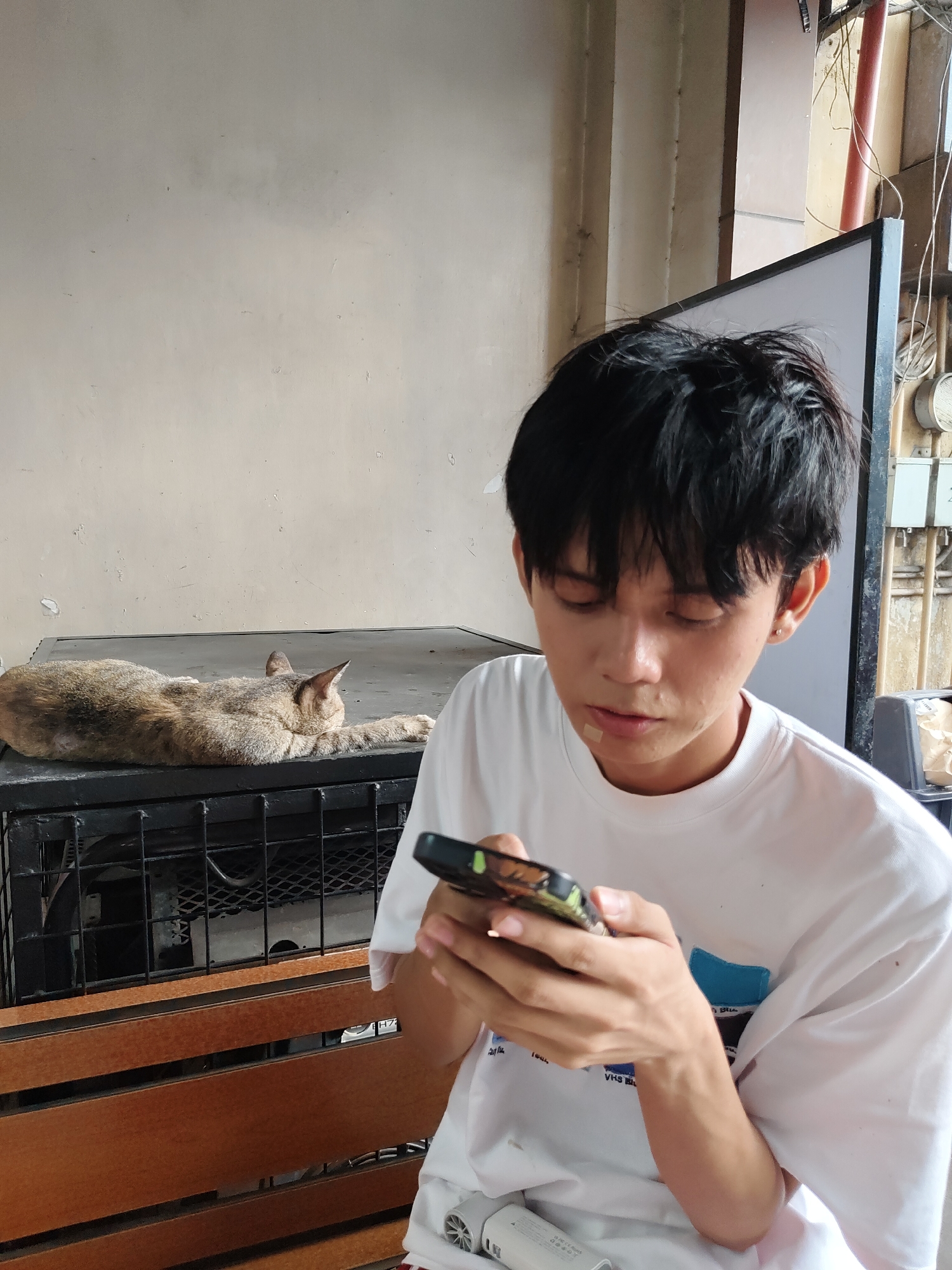 Memory