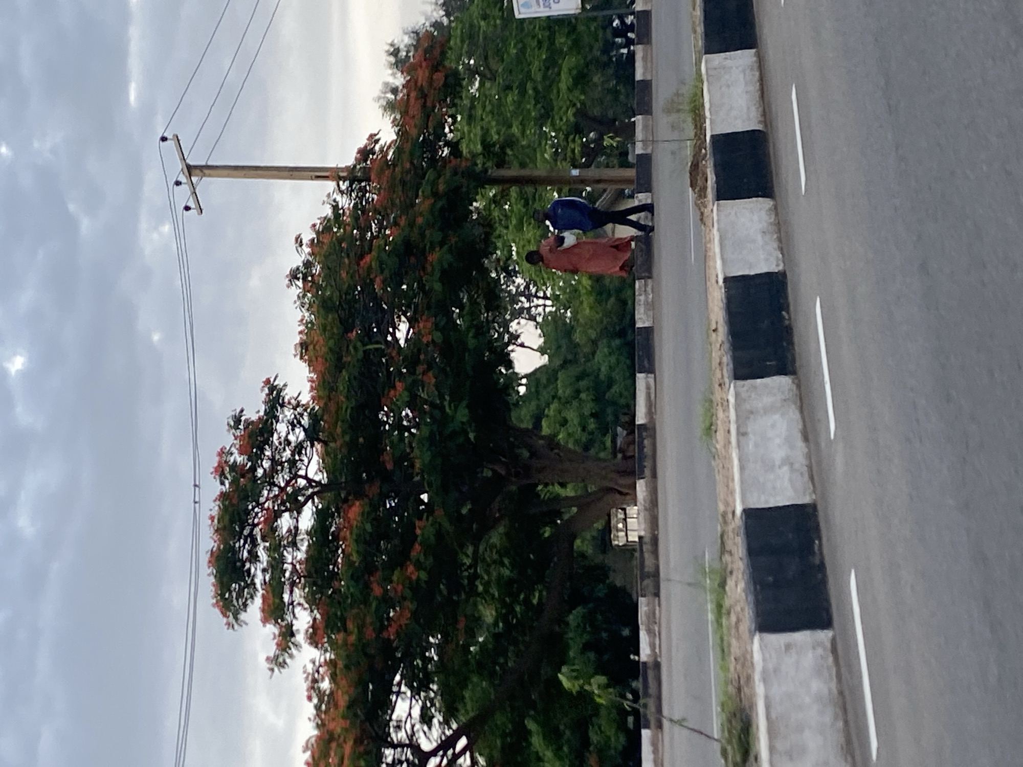 Two individuals are walking on the side of a road in Jos, Nigeria, near a large tree with red flowers. The person on the left is wearing a long, reddish-orange dress and carrying a white bag. The person on the right is wearing a dark blue jacket with white stripes and dark pants. They are walking next to each other, with the person on the left slightly ahead. The road has a black and white striped curb. In the background, there are more trees, a wooden utility pole with wires, and a cloudy sky. The overall impression is a street scene in an urban or suburban area.