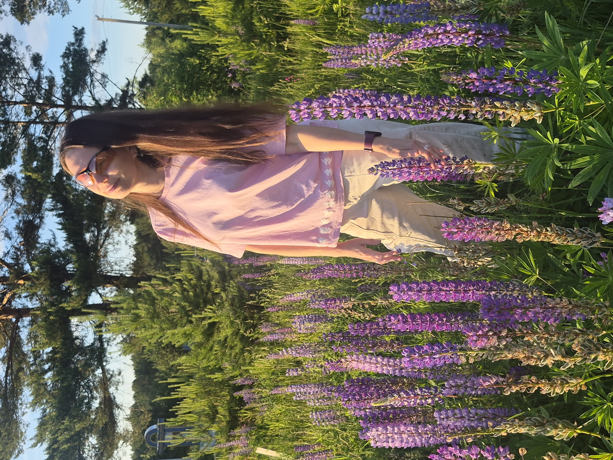 In the city of Chaikovsky, Russia, a female subject stands in a field of blooming purple lupines under a light blue sky with scattered clouds. The woman has long, straight, brown hair and wears pink-tinted sunglasses, a light pink short-sleeved t-shirt with white embroidery along the bottom hem, and beige cargo pants. A dark-colored watch is present on her left wrist, and a ring is visible on her left ring finger as her hand extends into the flowers. She is looking upwards and slightly to her left. The background features several tall pine trees, a dense distant forest line, a partial blue structure on the far left, and a utility pole on the far right. The scene is illuminated by warm, late afternoon sunlight.