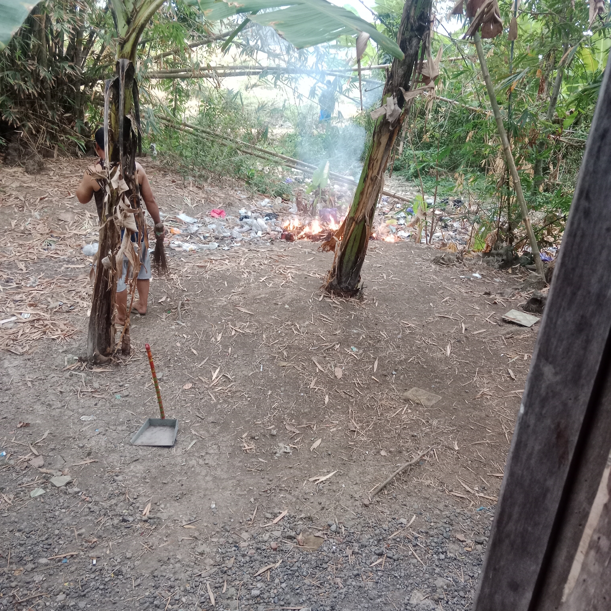 In Tegowanu Kulon, Indonesia, a person is visible in the background, to the left of center, near a burning pile of trash. The person is wearing dark sleeveless shirt and shorts, and appears to be holding a broom in their right hand. The fire is located in a cleared area, surrounded by dry leaves and debris. Banana trees and bamboo stalks are present in the scene, suggesting a rural or semi-rural environment. A dustpan is placed on the ground in the foreground, to the left. The ground is composed of soil, small stones, and dry vegetation. In the background, dense green foliage is visible. The lighting suggests it is daytime.