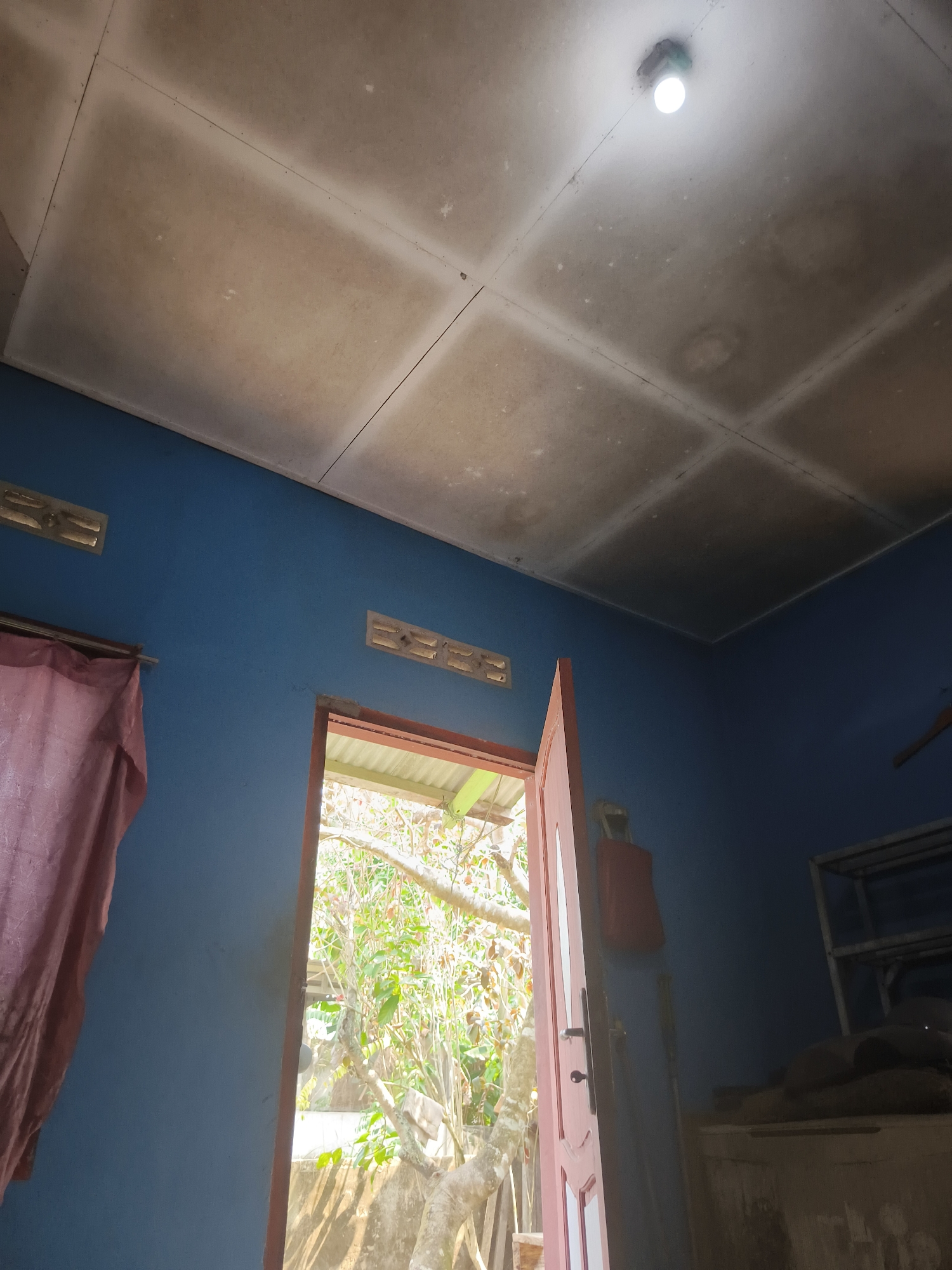 The image depicts an interior view of a room, possibly in a residential building, with an open doorway revealing an outdoor scene. The walls are painted a vibrant blue, and the ceiling is constructed of square panels. A single light bulb illuminates the room from the ceiling. To the left, a portion of a pinkish-red curtain hangs. The doorway, also framed in a reddish hue, opens to a lush, green outdoor environment with visible tree branches and foliage. In the interior, to the right of the doorway, there appears to be some shelving and stored items, partially obscured by shadow. Two small rectangular vents are visible on the blue wall above the curtain and the doorway. The overall impression is one of a simple, utilitarian space. The location is identified as Pangkalpinang, Indonesia, suggesting a tropical or subtropical climate based on the vegetation visible outside.