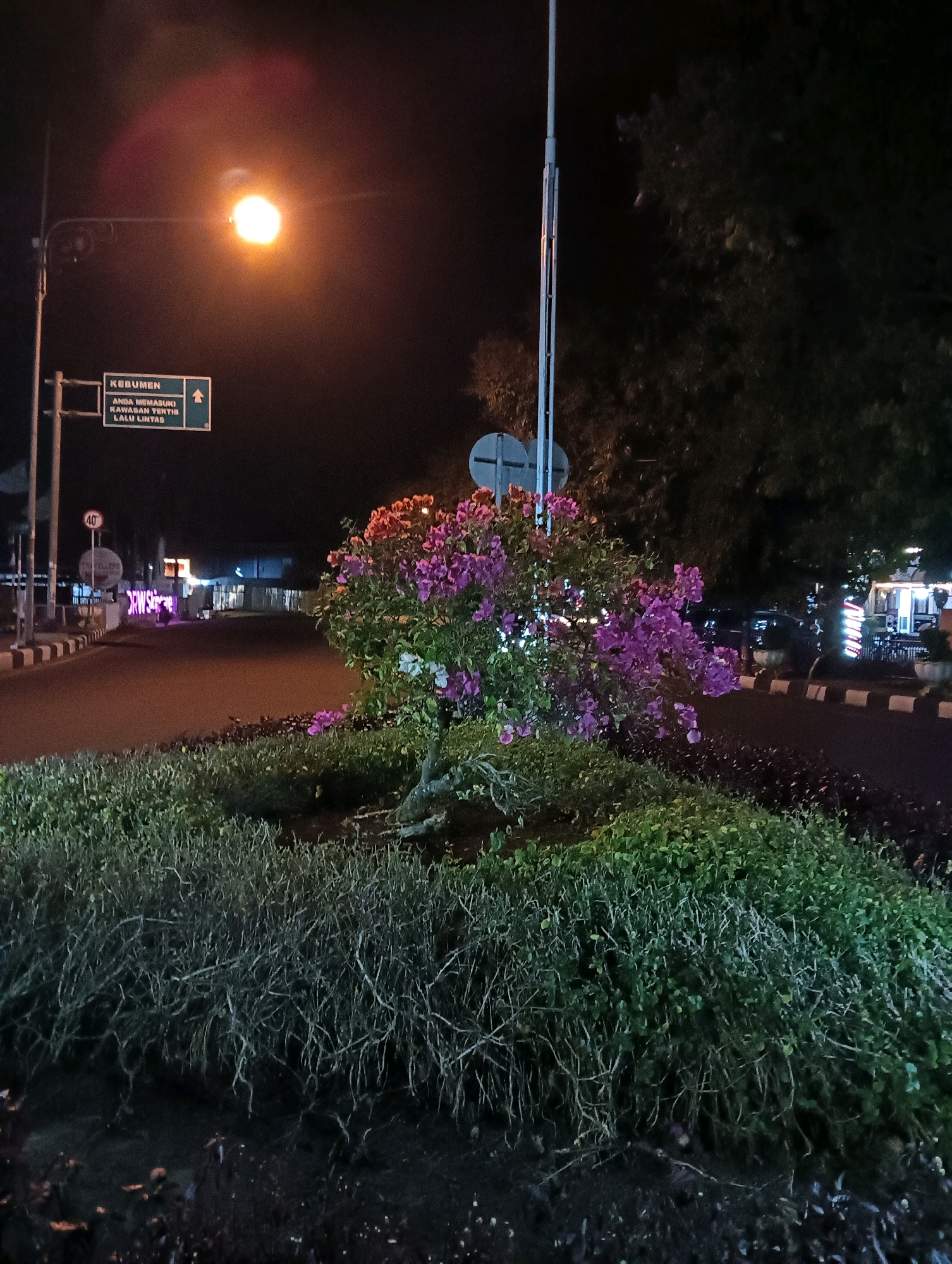 The image depicts a nighttime scene at a traffic island in Purworejo, Indonesia. In the foreground, a well-maintained planting bed surrounds a flowering tree with vibrant pink and purple blossoms. The tree is illuminated by streetlights. Behind the traffic island, a road curves to the left. A streetlamp with a bright orange glow hangs overhead. To the left, a green directional sign indicates "KEBUMEN" and a message in Indonesian that translates to "YOU ARE ENTERING A CONTROLLED TRAFFIC AREA." Further left, a speed limit sign shows "40." In the background, buildings with illuminated signs are visible, suggesting commercial establishments. The overall environment is that of a street intersection at night, with artificial lighting creating a dramatic atmosphere.