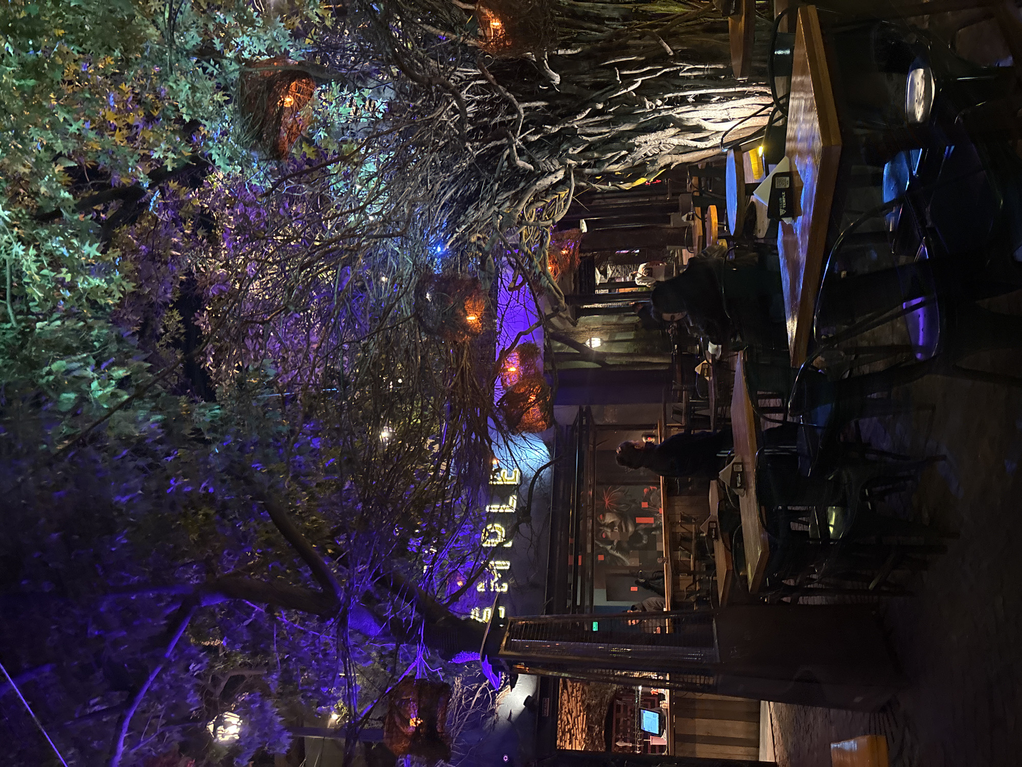 The image depicts an atmospheric outdoor or semi-outdoor dining and bar area at night in Buenos Aires, Argentina. The scene is dominated by a large, gnarled tree with dense foliage and extensive, intertwined branches and roots, creating a mystical, jungle-like ambiance. The tree and its leaves are illuminated by various colored lights, primarily purple and blue, interspersed with warm orange and yellow from scattered lanterns and string lights.
Several dark-colored wooden tables and chairs are arranged for patrons throughout the right side and mid-ground of the image. People are visible seated at these tables, appearing as dark silhouettes against the low light, engaged in dining or socializing. On one table, a white card with a clear QR code is visible, likely used for accessing menus. A tall, dark outdoor heater or cooler stands near the seating area.
In the background, a building or structure with a rustic design features metal railings and a large, stylized mural of a face on a wall. A prominent neon-style sign on the structure spells out "GARDEN BAR" in glowing letters, partially obscured by the tree's branches. The ground appears to be a dark paved surface. The time of day is clearly night, with the artificial lighting being the main source of illumination, contributing to an enchanting and leisurely atmosphere.