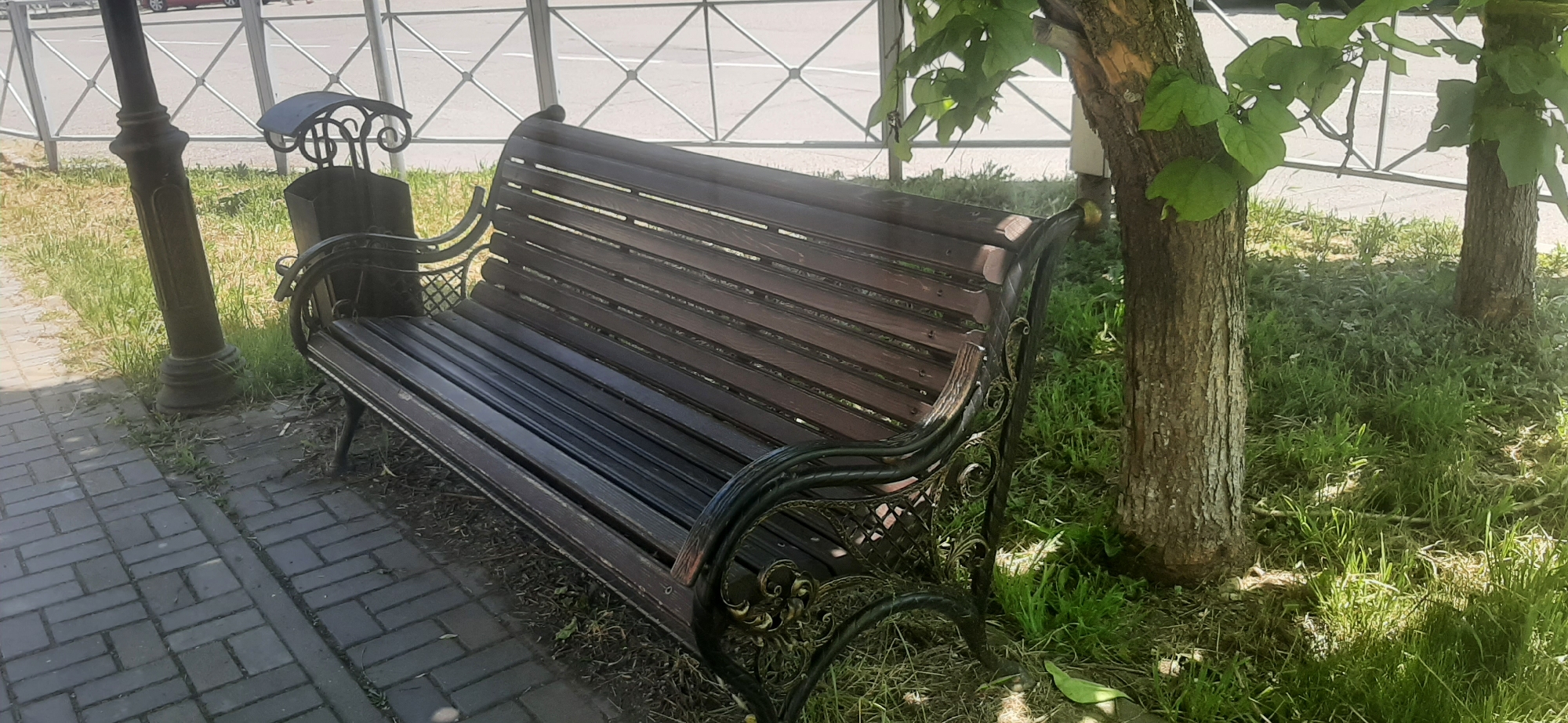 In Yessentukskaya, Russia, a dark brown wooden slatted park bench with ornate black metal legs and armrests sits on a paved walkway. To the left of the bench is a black metal lamppost. Behind the bench is a metal fence and beyond that, a paved road with a white line. The bench is positioned next to a grassy area with two trees whose branches cast dappled shadows on the scene. The bench is unoccupied. The sky is visible in the background.