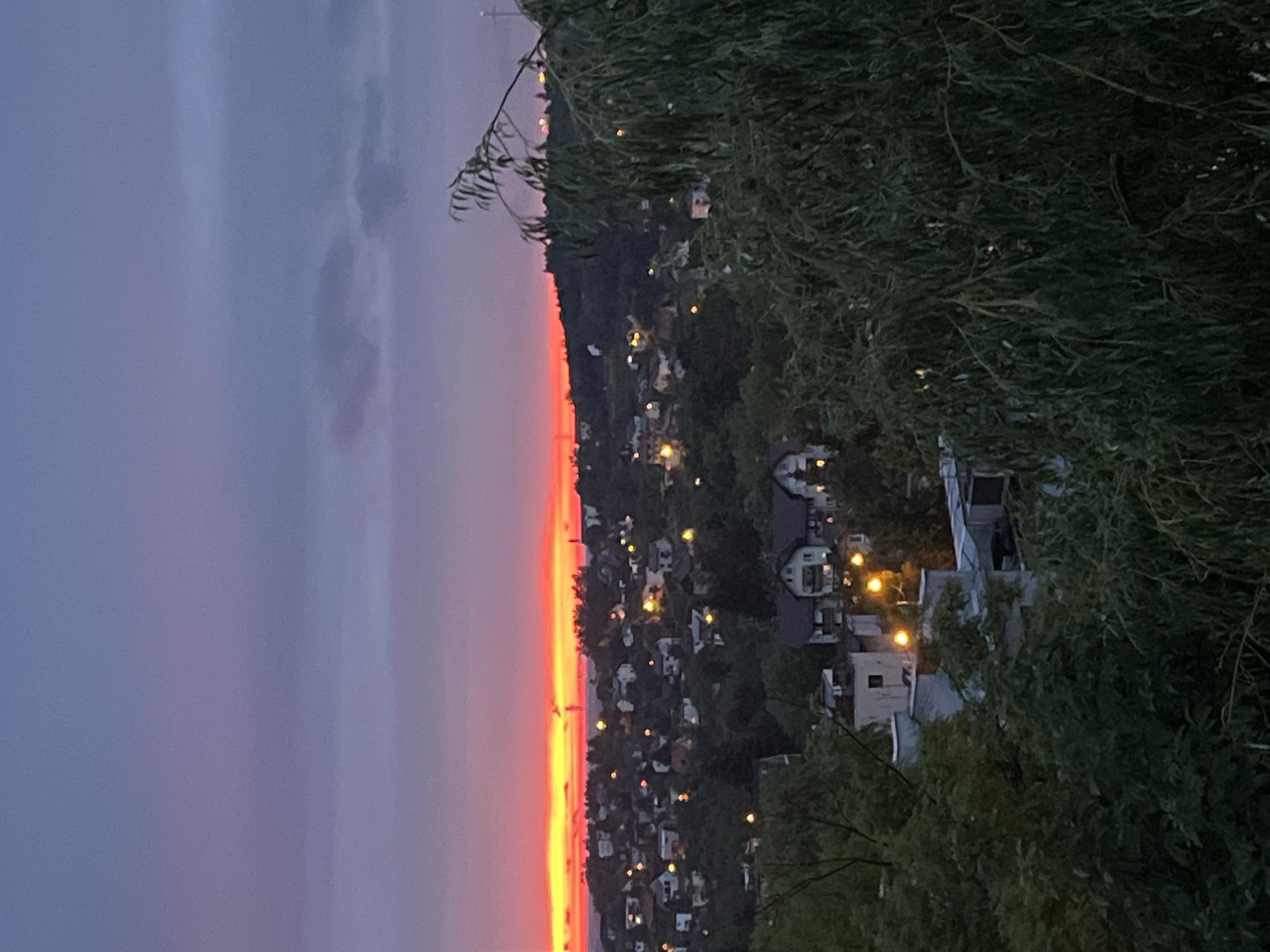 A sunset casts a vibrant orange and pink glow across a hazy sky above a hillside city. The sky transitions from a bright, fiery horizon to a soft purple and blue overhead. Numerous buildings, illuminated by streetlights, dot the landscape, nestled amongst dark green trees. A large, leafy tree in the foreground partially obscures the view of the cityscape, its branches hanging down. The overall impression is a tranquil evening scene in a residential area.