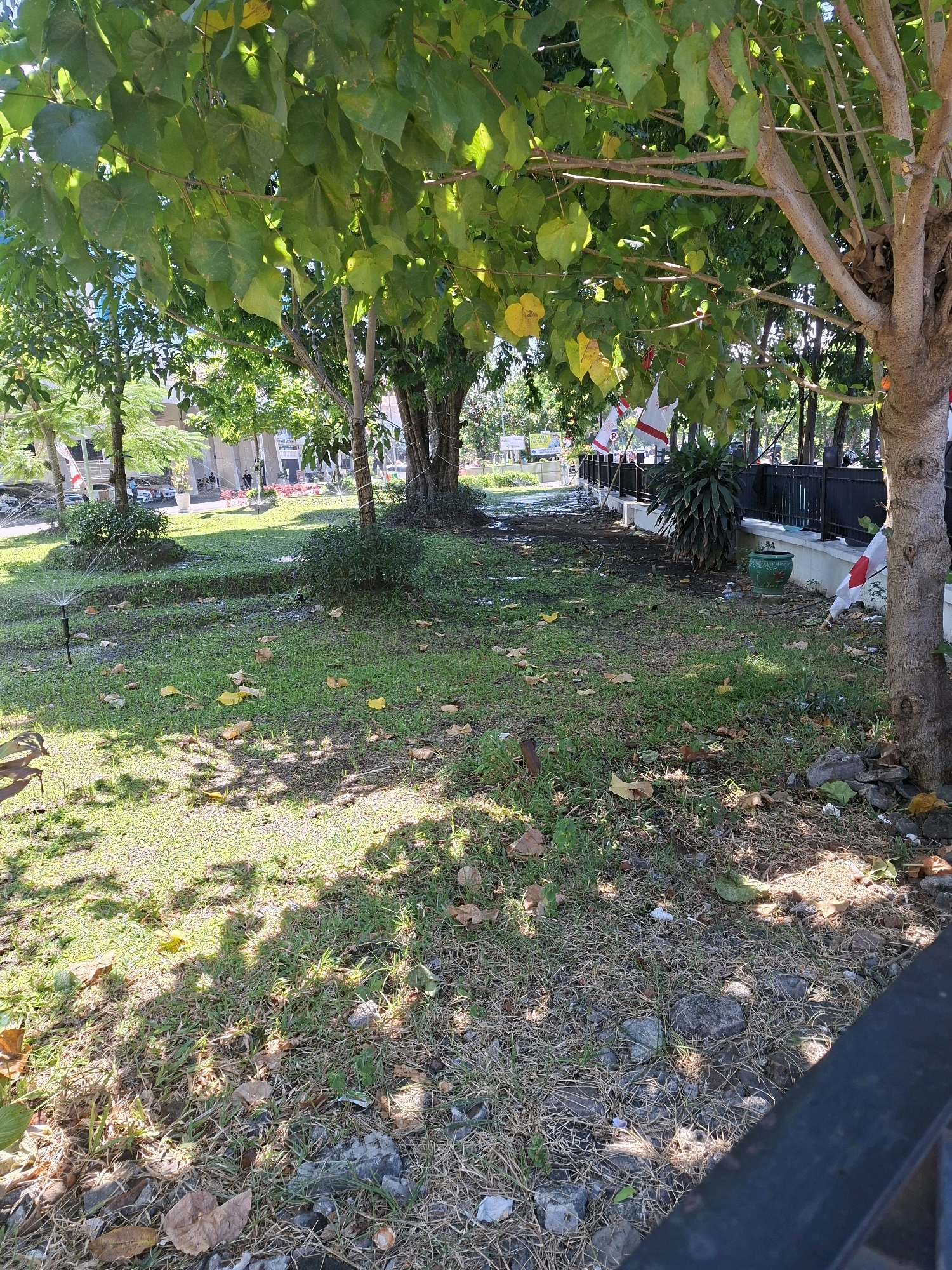 This image depicts a park or green space within the city of Surabaya, Indonesia. The foreground is dominated by grass, scattered with fallen leaves and some small stones. Two automated sprinklers are actively watering the lawn, with visible sprays of water arcing across the grass. In the midground, several trees with broad green leaves provide shade, their branches forming a canopy over the scene. Behind the trees, a black metal fence runs horizontally, bordering a paved walkway. Beyond the fence, a building with glass windows is visible, suggesting an urban setting. Several Indonesian flags, red and white, are displayed along the fence line. The overall environment appears to be a well-maintained public area, likely a park or garden, situated within a city.