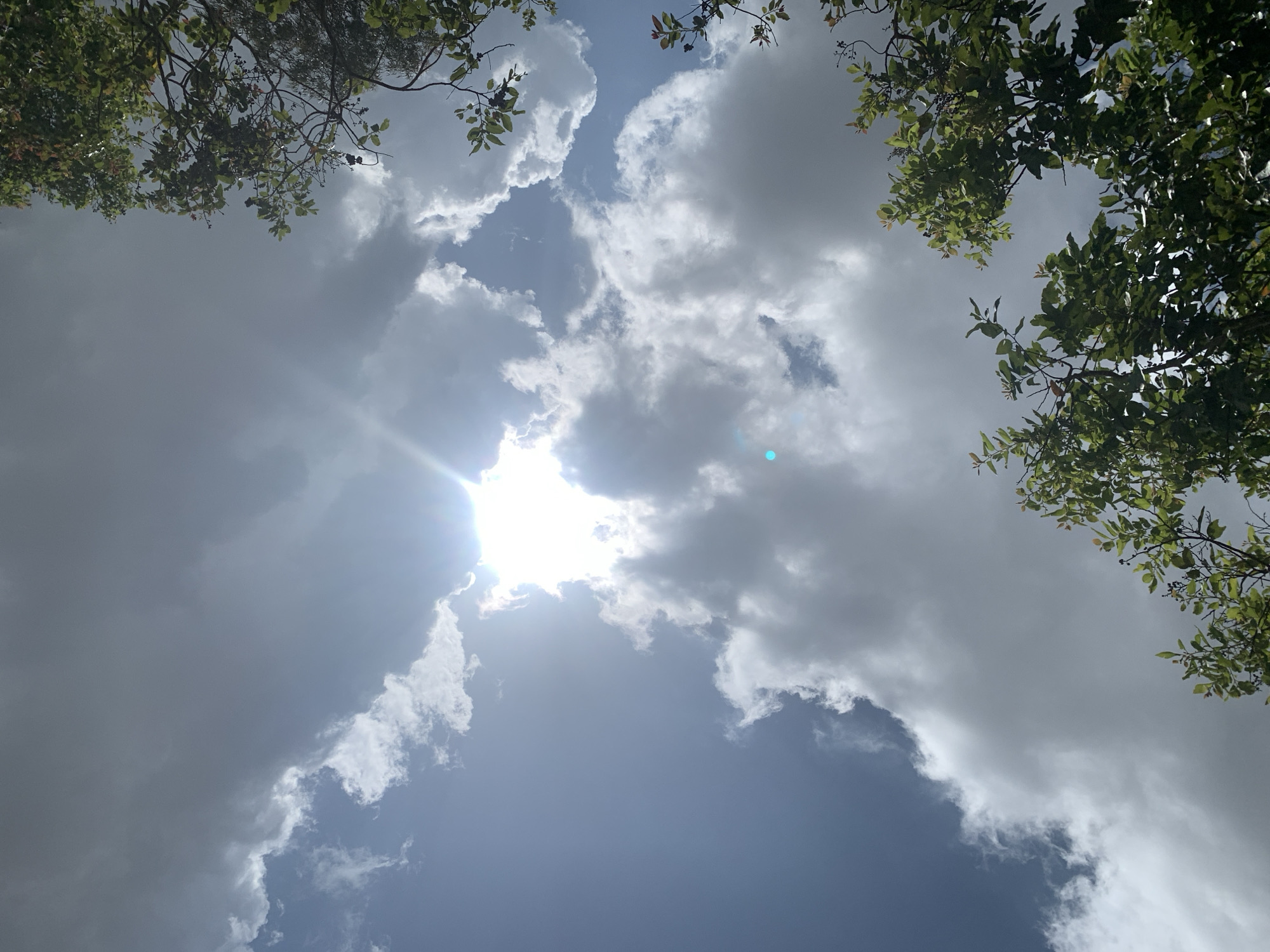 The image captures an upward view of a sky filled with dramatic, heavy clouds, illuminated by the bright, glaring sun. The sun is partially obscured by thick clouds, creating bright rays and a lens flare effect. The sky transitions from a bright blue in some areas to a darker, more overcast gray where the clouds are denser. In the foreground and along the edges of the frame, lush green foliage from trees with dark branches and small dark berries is visible, suggesting a natural or park-like environment. There are no people or active events depicted in the scene. The environment appears to be outdoors, with a clear indication of natural vegetation and a dynamic sky. Without specific landmarks, the precise location within Kuru Karama, Nigeria, cannot be definitively determined from the visual information alone, but the presence of abundant greenery and the quality of the daylight suggest a tropical or sub-tropical climate.