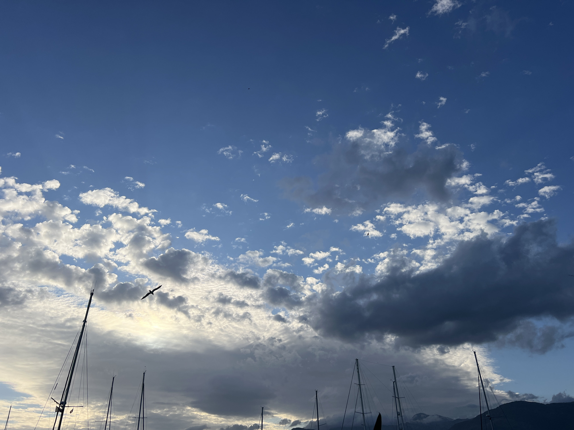 The image shows a partly cloudy blue sky over the masts of sailboats in Tivat, Montenegro. A bird flies to the left of center. Dark, heavy clouds appear on the right, contrasting with smaller, scattered clouds on the left. The sailboat masts are silhouetted against the sky. Mountains are visible in the background.