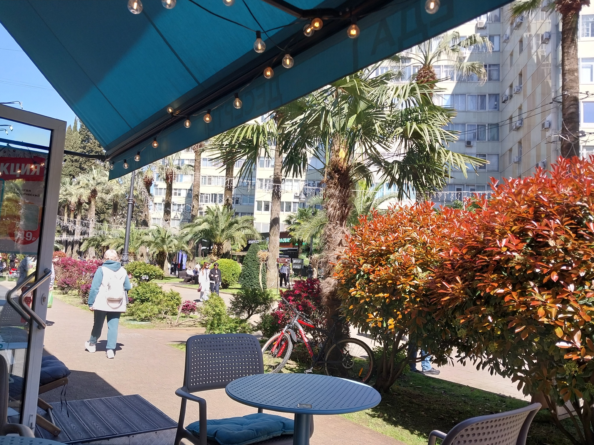 This image captures an inviting outdoor cafe setting on a bright, sunny day, likely in a park or promenade in an urban area like Sochi, Russia. In the immediate foreground, a blue awning, strung with decorative lights, provides shade over a modern blue-grey outdoor table and chair, complete with a matching cushion. To the left, part of a cafe entrance is visible, featuring a sign with partial Cyrillic text reading "КЦИЯ" (suggesting "promotion" or "sale"), "скан," "ический," and a price point "9р."
Beyond the cafe's seating area, a paved walkway stretches through a lush green space. A person dressed in a light blue tracksuit and a white backpack is seen walking away from the camera along this path. The landscape is rich with vegetation, including several tall palm trees that dot the scene and numerous dense bushes. Some of these bushes display striking reddish-orange foliage, creating a vibrant contrast against the surrounding greenery. A red and black bicycle is parked casually, leaning against one of the larger bushes near a palm tree.
Further in the background, other pedestrians can be observed strolling or gathering, enjoying the pleasant outdoor conditions. A tall, multi-story building, typical of a residential or hotel structure, dominates the far background, featuring many windows and visible air conditioning units. The clear blue sky and sharp shadows suggest it is late morning or early afternoon, contributing to a relaxed and lively atmosphere. The abundant palm trees and architectural style are consistent with a resort city like Sochi.