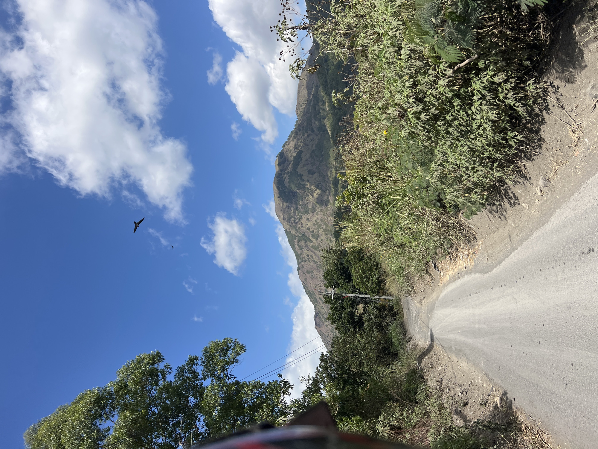 The image shows a scenic view of a dirt road winding through lush green vegetation and leading towards a majestic mountain under a bright blue sky dotted with white clouds. Two birds are captured soaring in the sky, one larger than the other. The road is flanked by dense foliage, with trees and bushes creating a natural canopy. In the distance, the mountain appears rugged and sparsely covered with vegetation, suggesting a volcanic landscape. The presence of power lines and a utility pole indicates that this area is inhabited. The overall scene evokes a sense of adventure and natural beauty, characteristic of the Kintamani region in Indonesia, known for its stunning volcanoes and crater lakes.