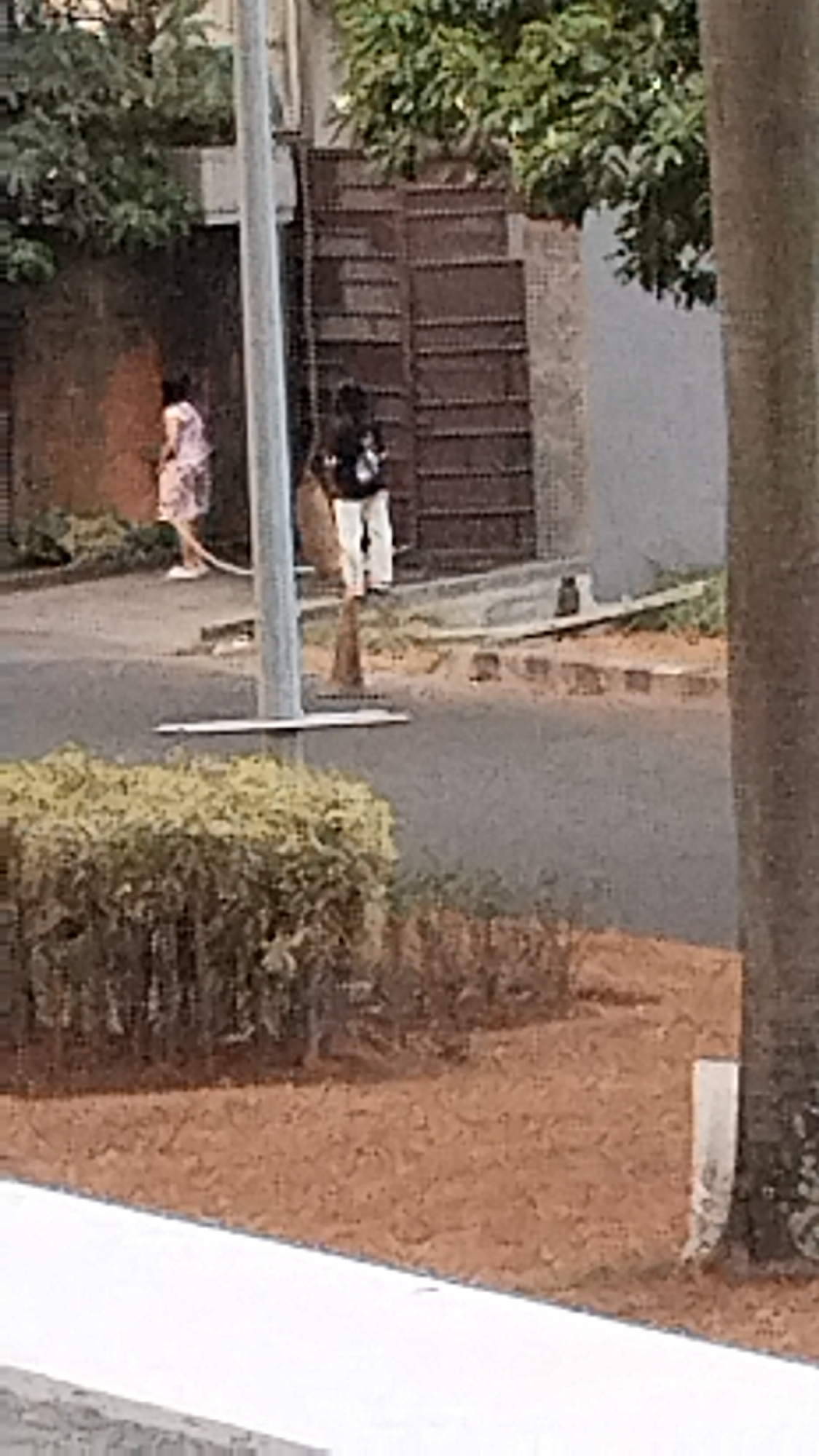 In a scene set on a street in West Jakarta, Indonesia, two individuals are visible. To the left, a person wearing a light-colored dress with a pink pattern walks away from the camera, with their left leg extended forward. A light pole, painted grey, stands prominently in the center of the frame, its base resting on a horizontal bar on the ground. To the right of the pole, another person is standing facing the camera, dressed in a black top and white shorts. Behind the individuals, a dark brown, segmented fence or gate is observed, with greenery visible above it and to its left. In the foreground, a low, dense hedge with green foliage occupies the bottom left portion of the image. The ground surface consists of asphalt, with patches of reddish-brown dirt and scattered small rocks. A white rectangular marker is positioned on the reddish-brown ground on the far right. A large tree trunk, dark brown in color, is present on the right edge of the image.