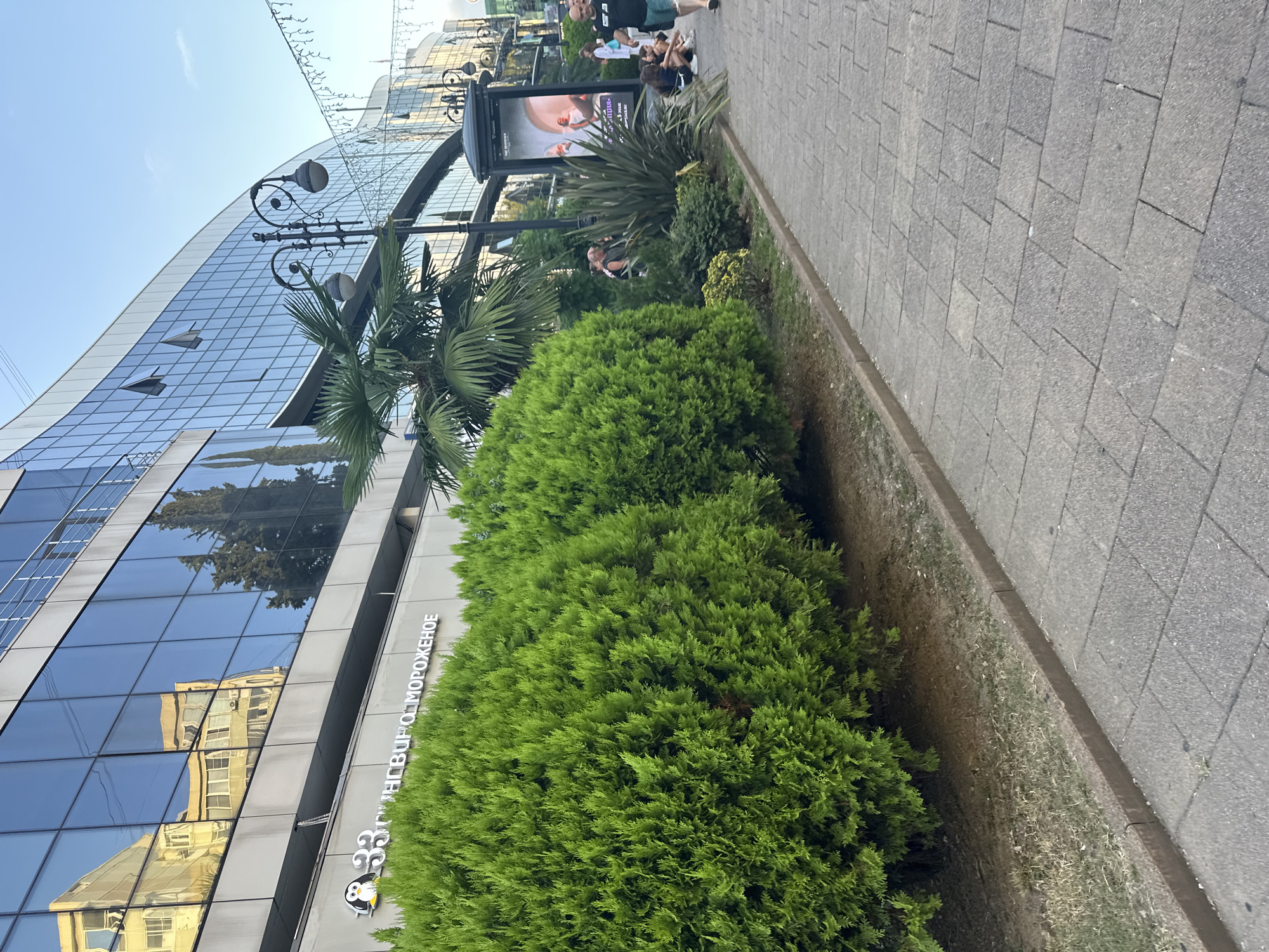 This image captures a street scene in Sochi, Russia, likely in a commercial area. In the foreground, a paved sidewalk runs alongside a lush, green hedge. Beyond the hedge, a modern building with a glass facade dominates the background, reflecting the surrounding environment. The building has multiple stories and what appears to be offices or shops. Several people are visible on the sidewalk, including a man walking towards the viewer and a group of people sitting or standing near a large advertisement billboard. The atmosphere suggests a daytime scene with clear weather. The advertisement billboard features an image of people. Streetlights and string lights are also visible, indicating a developed urban setting. The signage on the building, though partially obscured, appears to be in Russian, consistent with the location in Sochi. The overall impression is a bustling urban environment with a blend of modern architecture and natural landscaping.