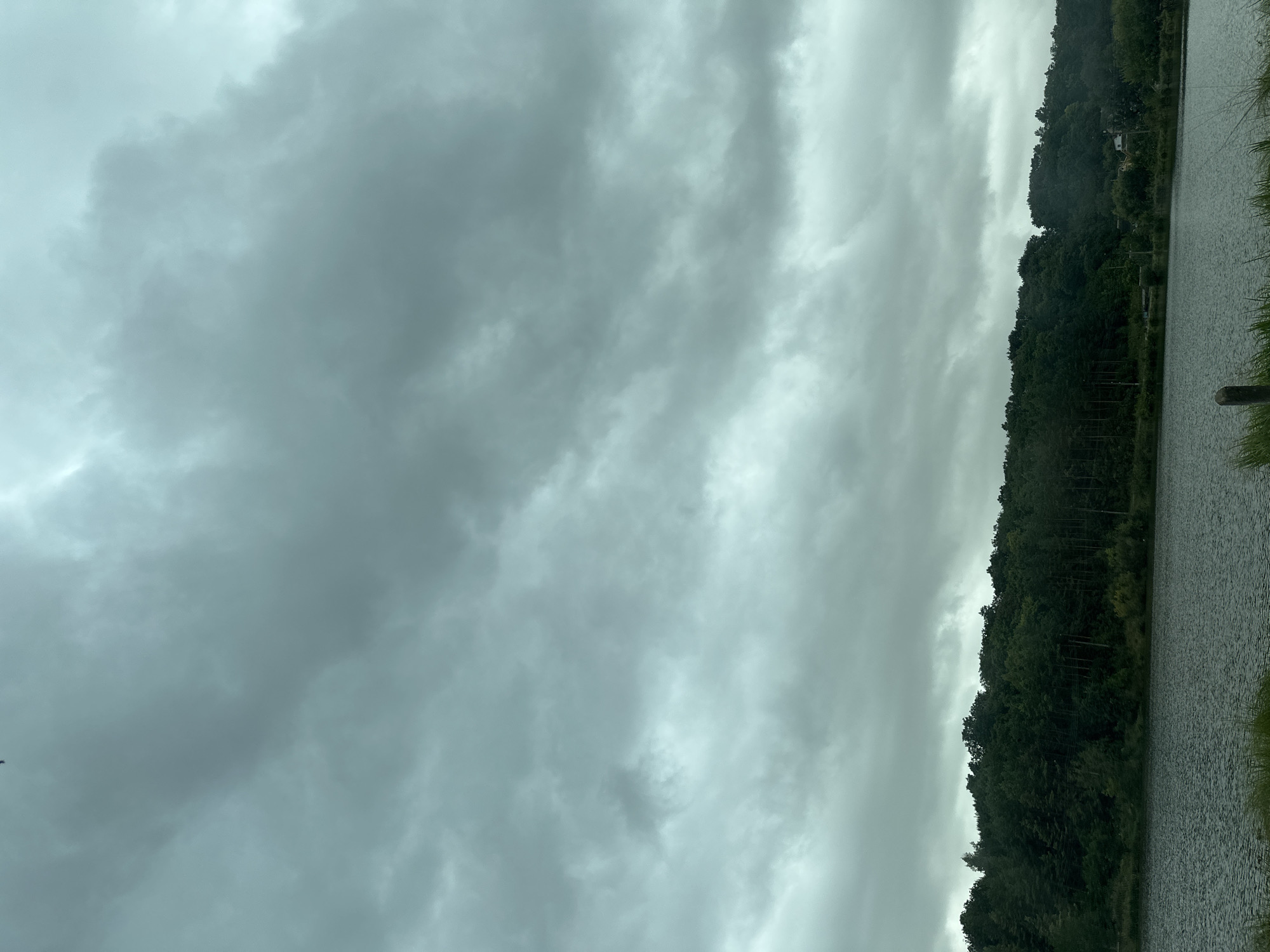 The image depicts a body of water with a dense forest lining the opposite bank. The sky is overcast with heavy, grey clouds. The water appears calm with ripples on its surface. The forest is composed of various shades of green trees, creating a thick canopy. In the background, there are faint signs of human habitation, possibly houses, nestled within the trees on a gentle slope. The overall atmosphere is somber, suggesting a cloudy or impending rainy day. The location is identified as Makiv, Ukraine.