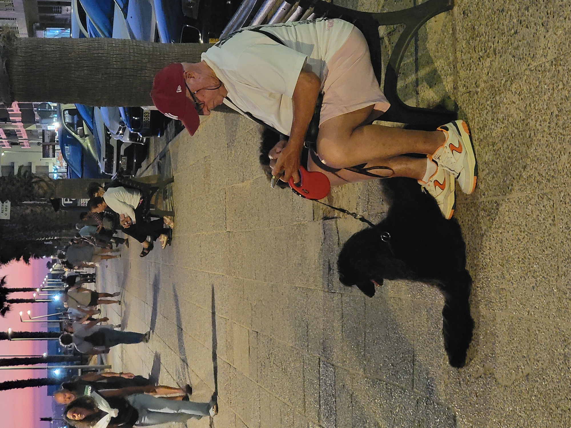 The image depicts a public promenade in Quarteira, Portugal, near the beach, at dusk. The promenade is paved with light-colored tiles and lined with palm trees and streetlights. On the right side of the image, an elderly man wearing a red baseball cap, glasses, a white t-shirt, and light-colored shorts sits on a dark bench. He is looking down at his mobile phone, which he holds in his hands. Next to him, on the left, a large, black poodle is lying on the promenade, facing left. A red retractable dog leash is visible on the ground between the man and the dog. In the background, several people are walking along the promenade, and cars are parked along the street adjacent to the promenade. The sky exhibits a gradient of pink and purple hues, indicating sunset or twilight.