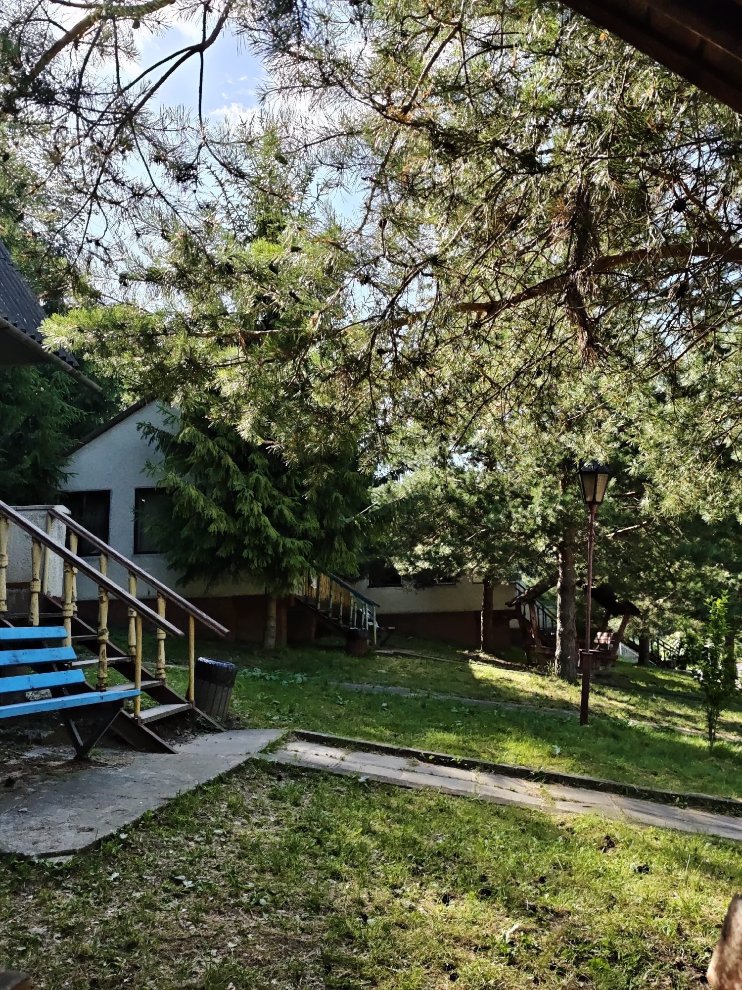 The image depicts a serene outdoor scene, likely in the city of Sosny, Ukraine. In the foreground, a bright blue park bench is positioned on a concrete walkway adjacent to a wooden staircase with yellow railings. The bench faces a lawn dotted with pine cones and green grass. Beyond the bench, a light-colored building with dark-framed windows is partially visible, nestled among mature pine trees. A traditional lamppost stands to the right of the building. The environment suggests a tranquil, possibly recreational area, with abundant natural foliage. The lighting indicates it is daytime, with sunlight filtering through the pine branches. No people are visible in the image.